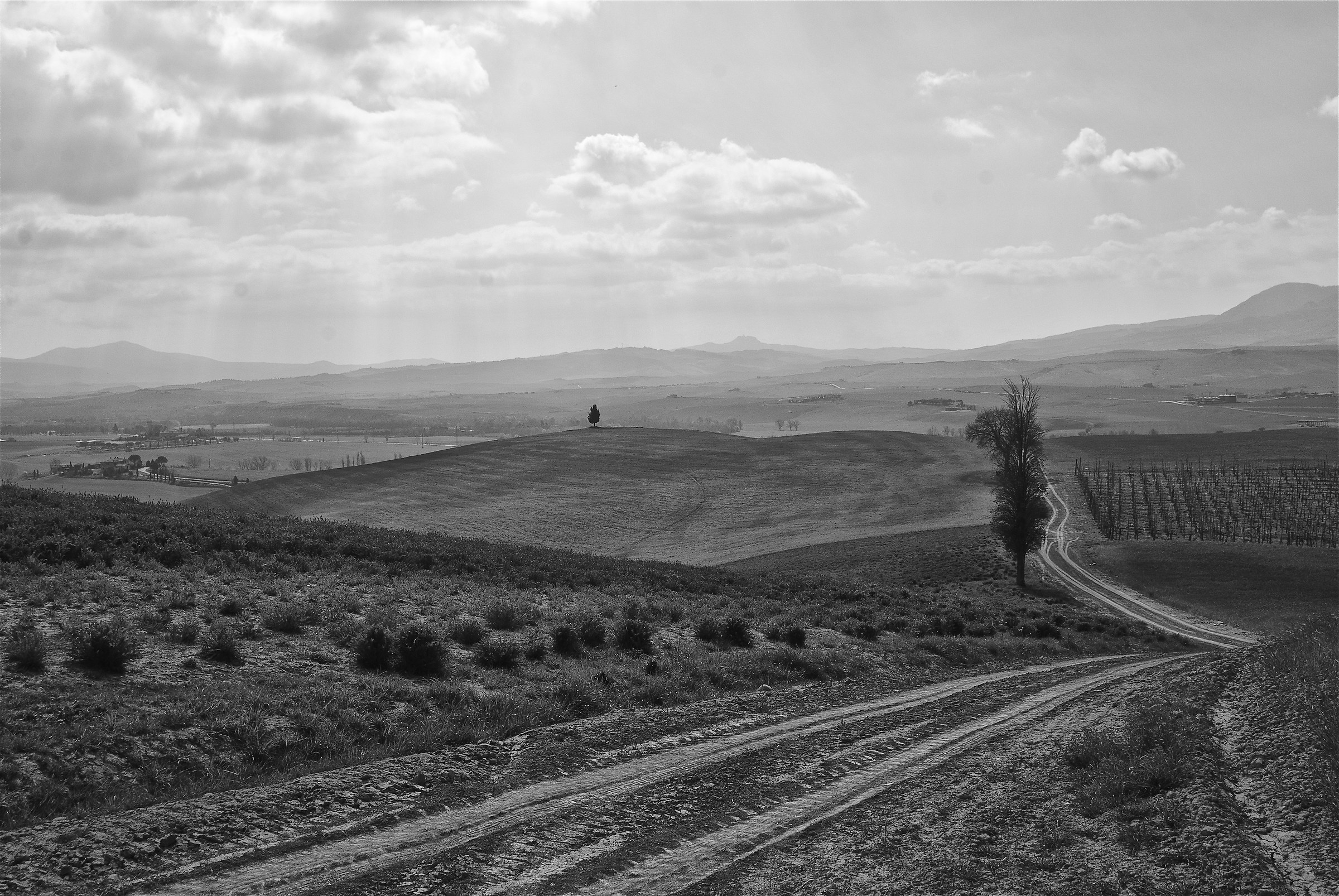 Val d'Orcia#3