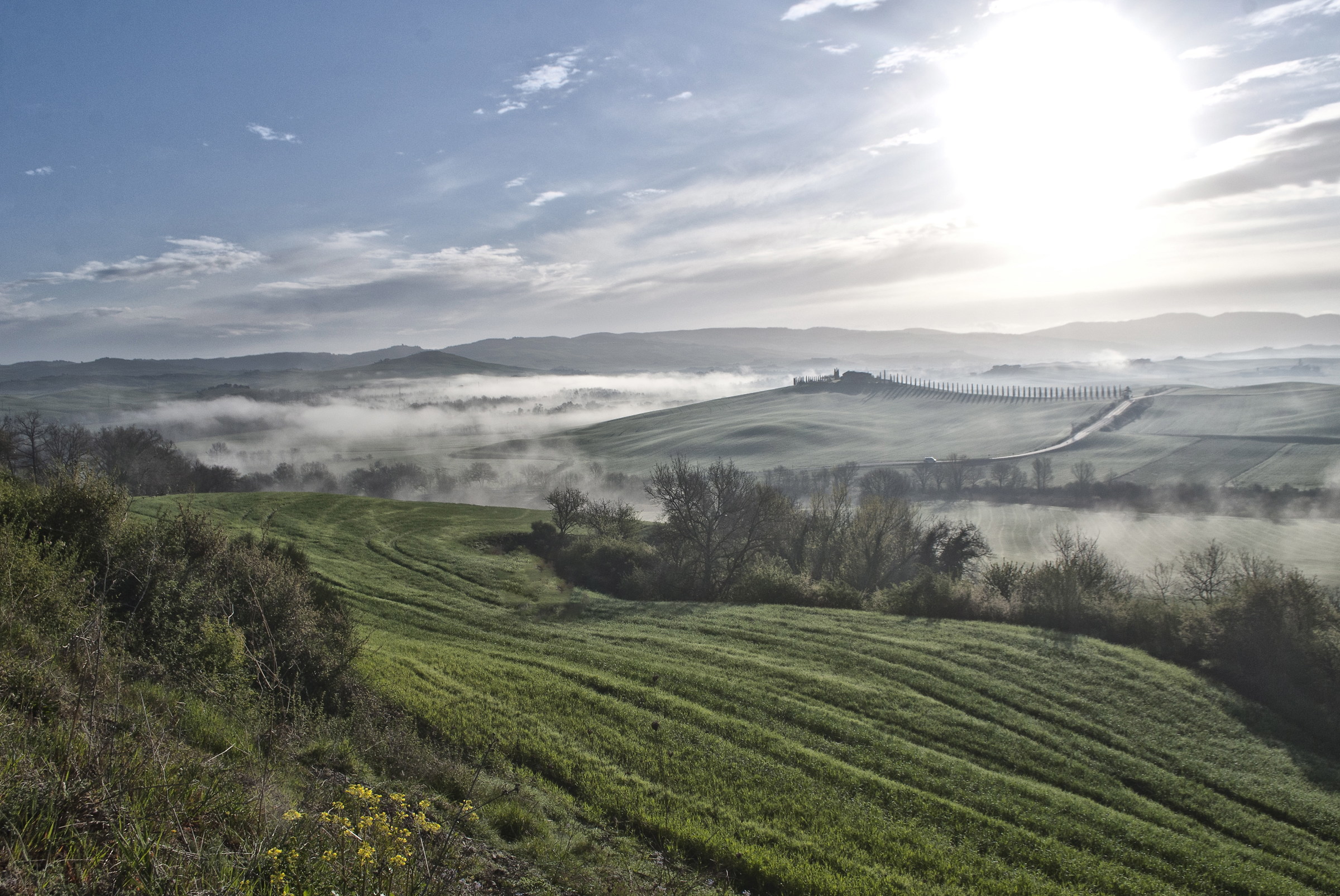 Val d'Orcia#5