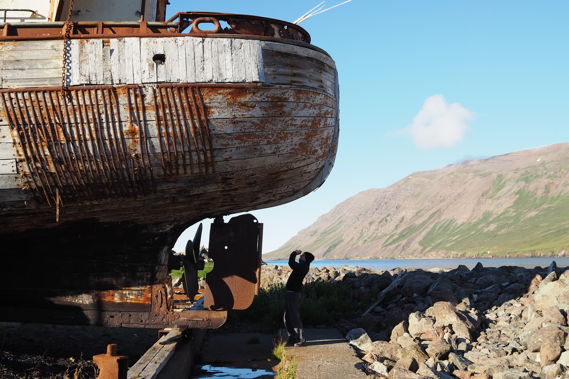 Non mettere la retro