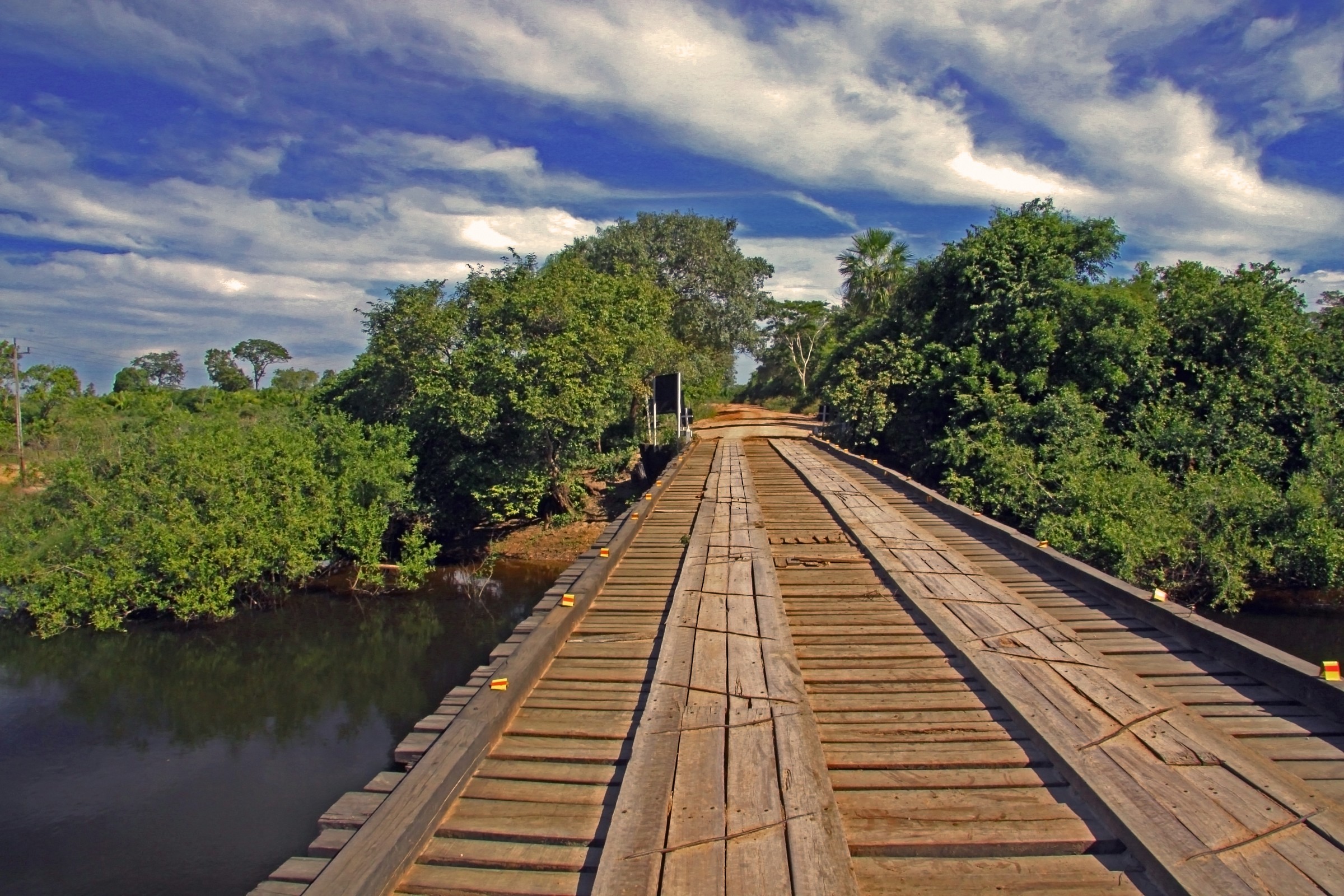 bridge in the Pantanal
