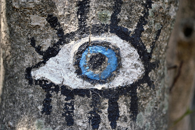 Tribal Eye