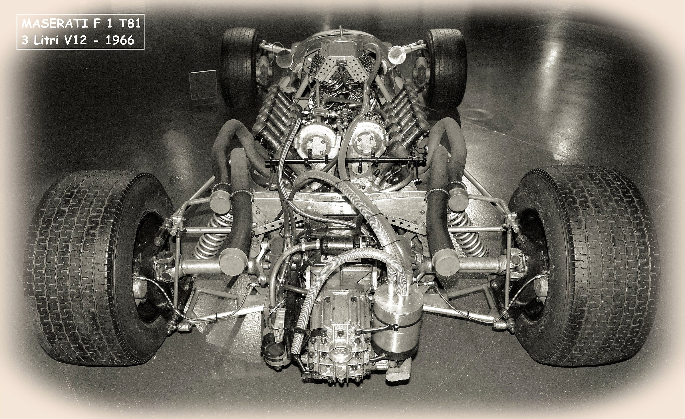 Cooper - Maserati F.1 T81 3 Litri V12 - 1966