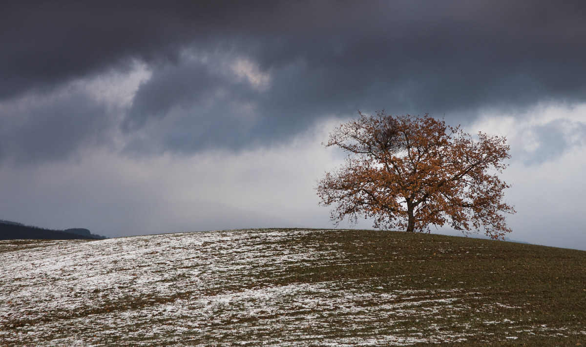 Io non temo la bufera ...