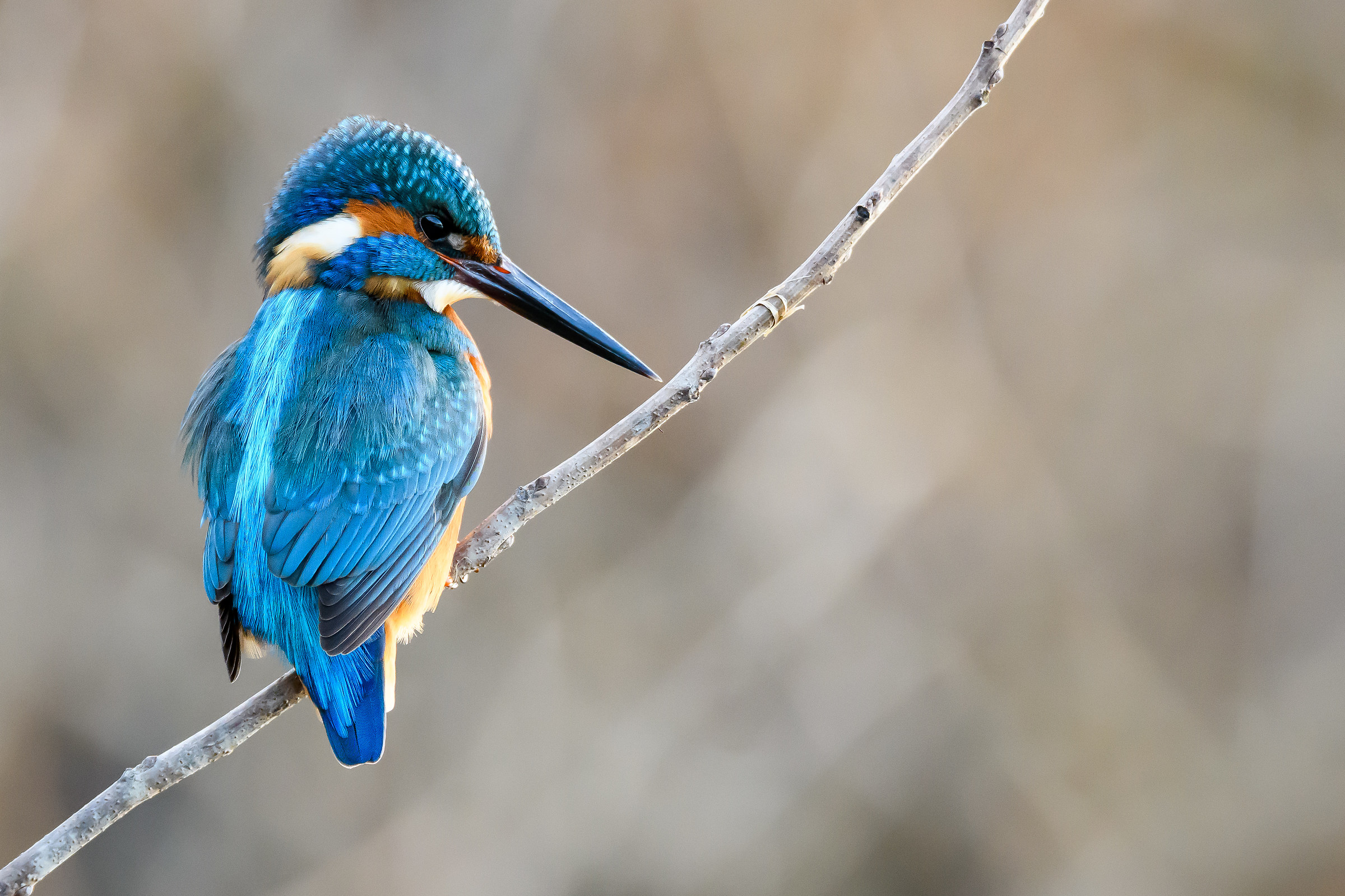 Ti tengo d'occhio...