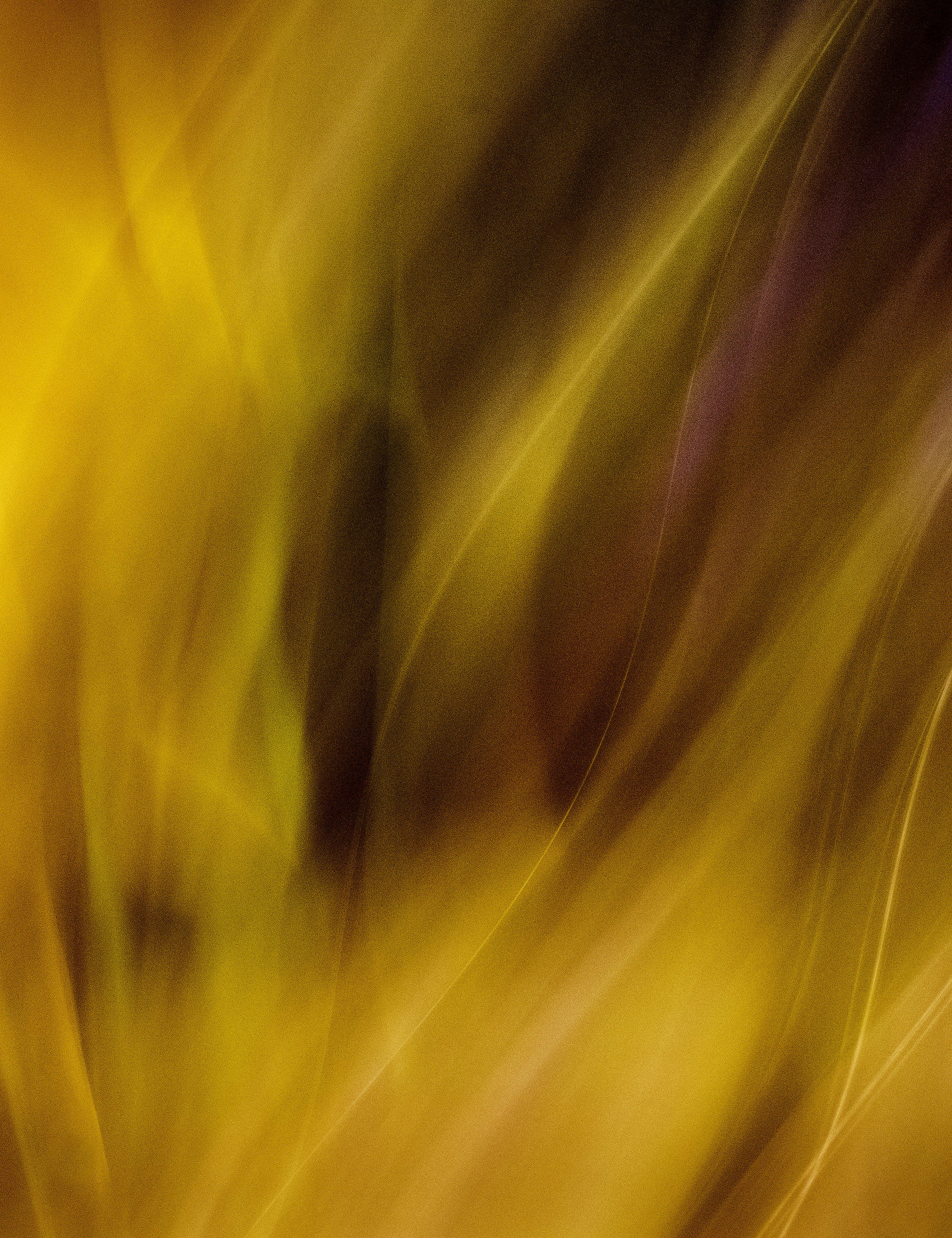 Fuoco!!! (Take 2)