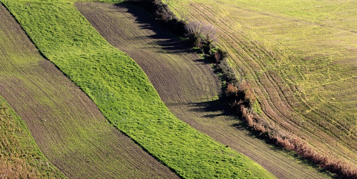 The green way
