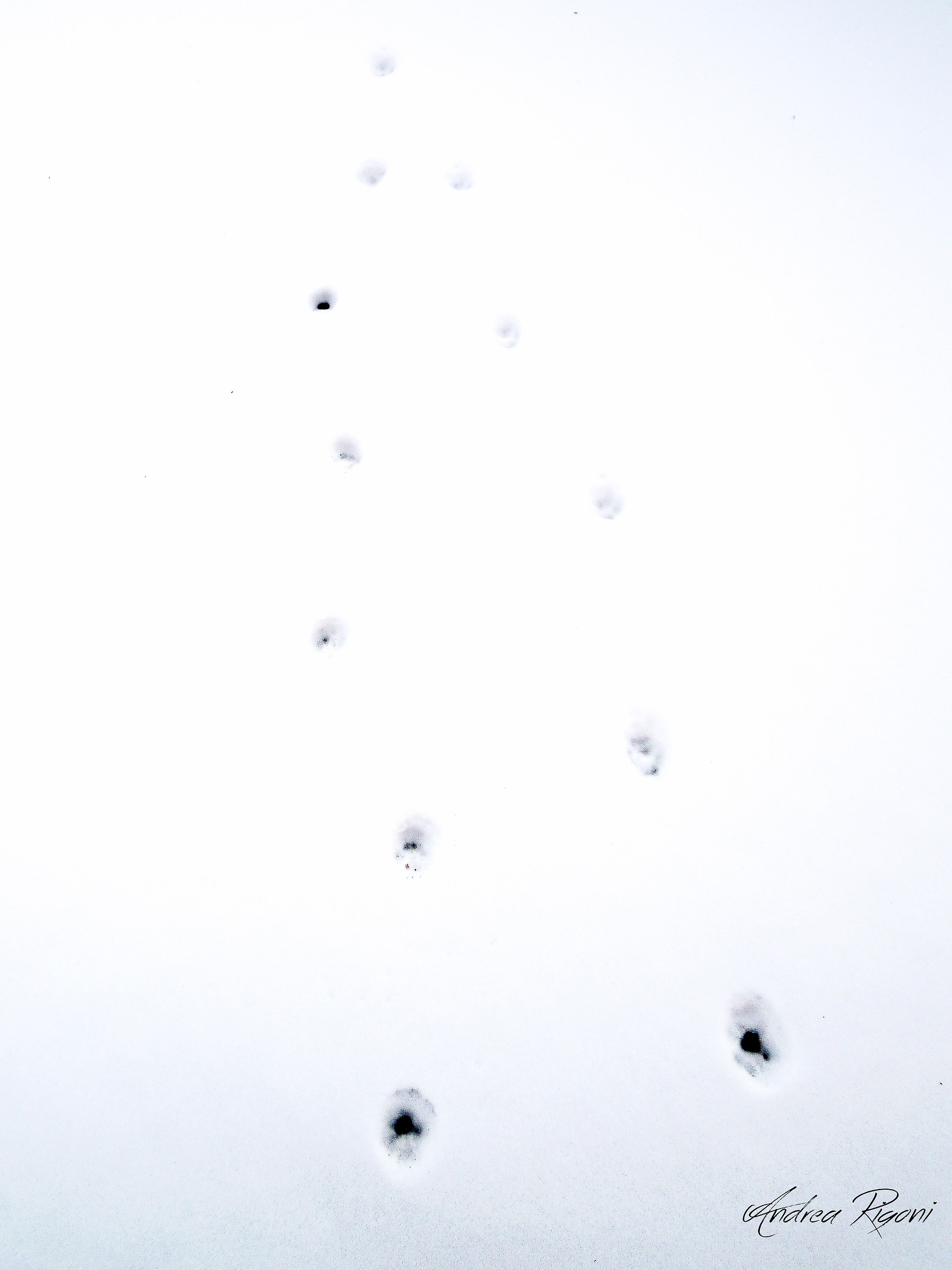 minimal Fingerprints