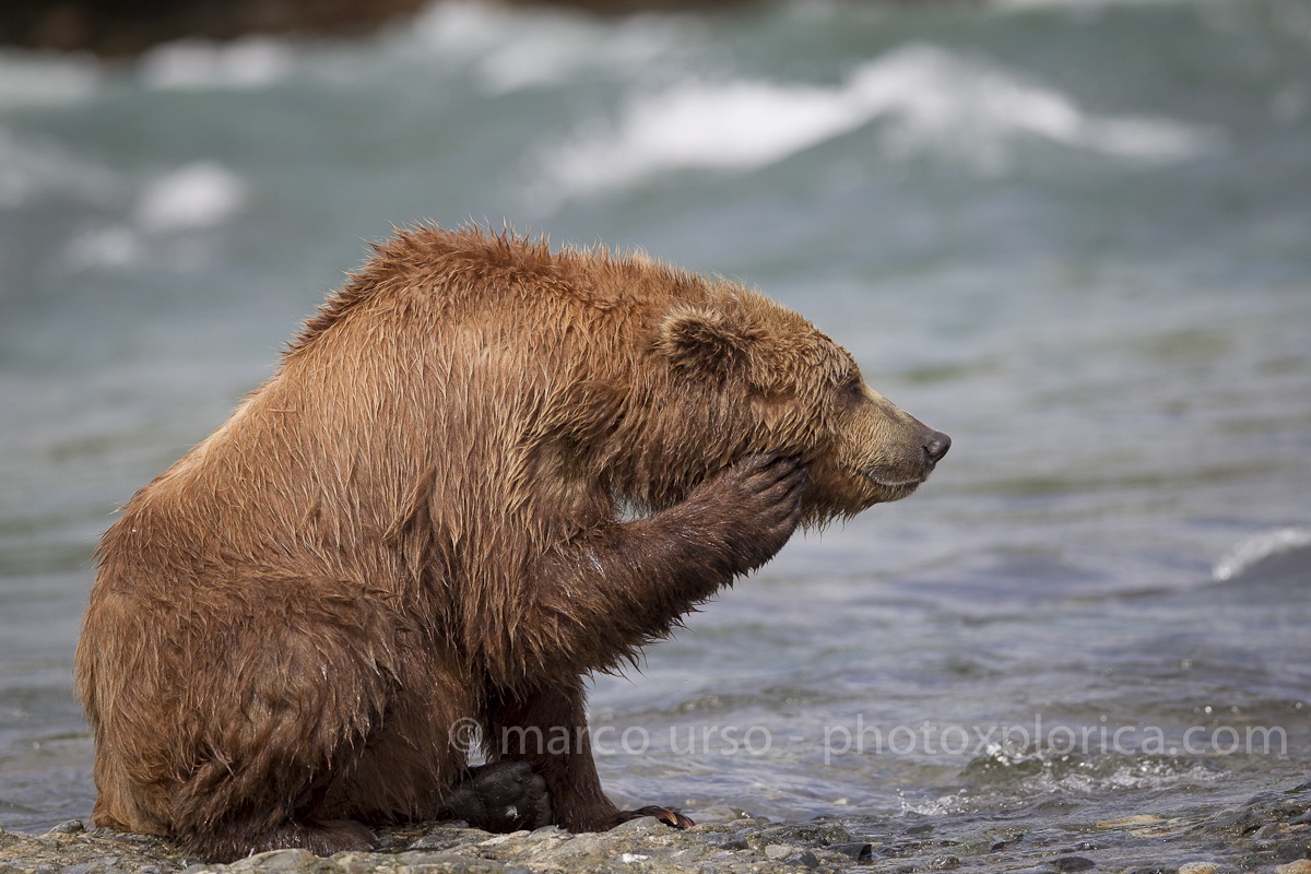 Katmai
