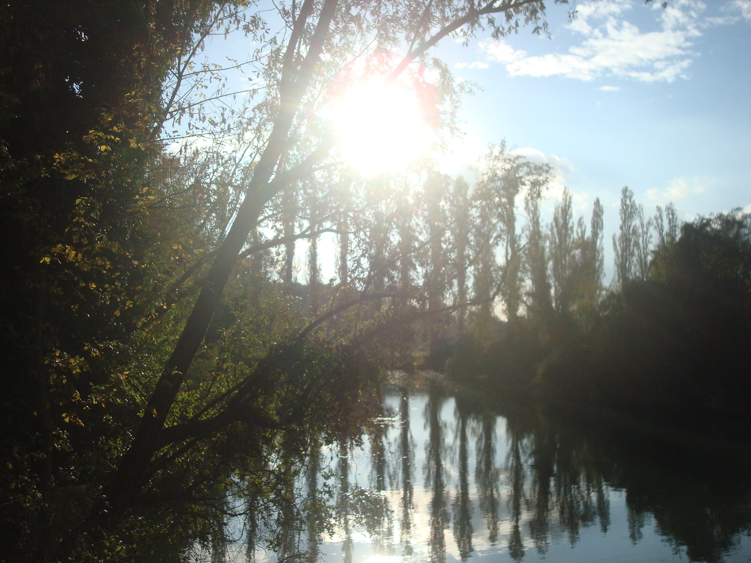 reflections sile 2016