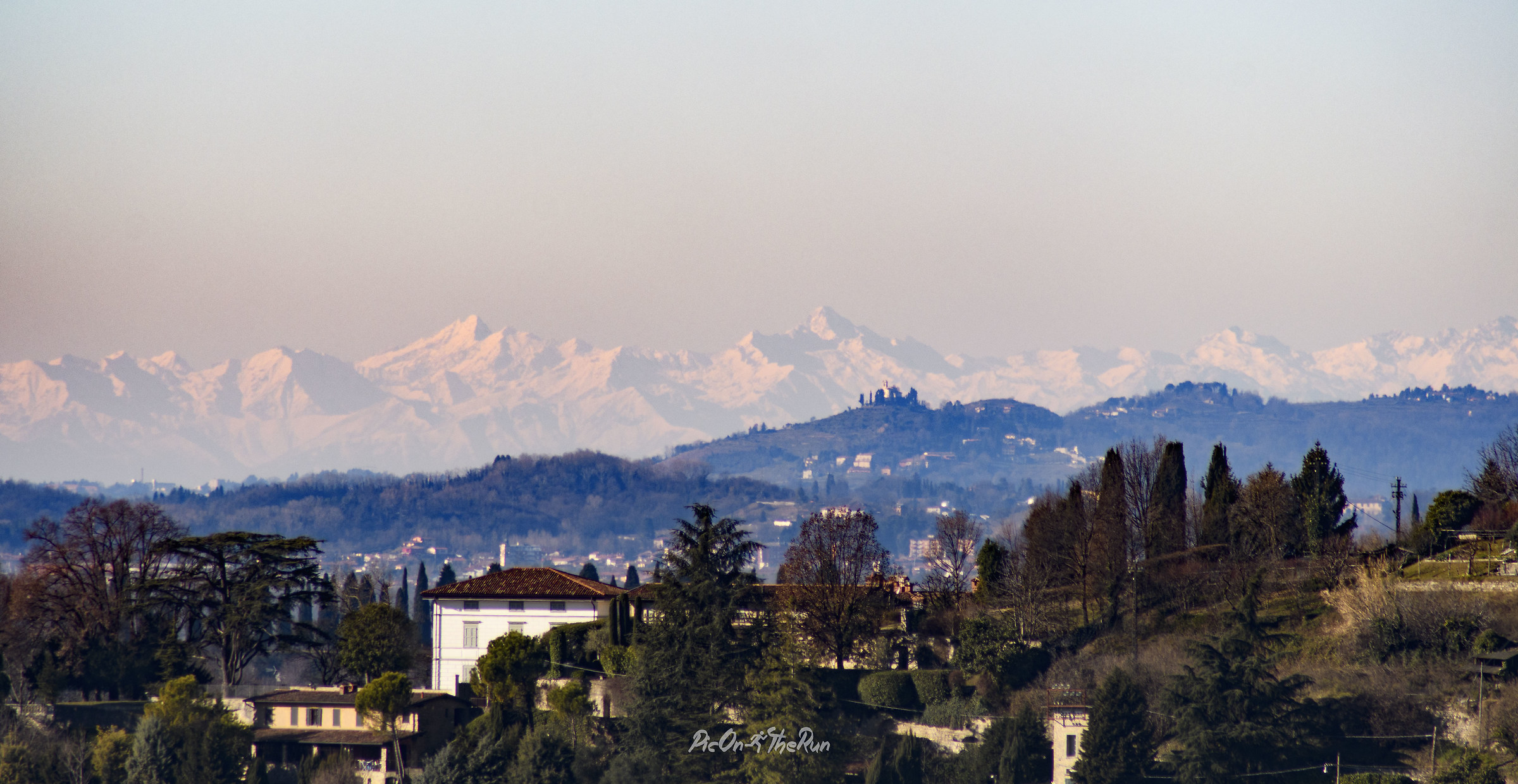 brushstrokes Montane