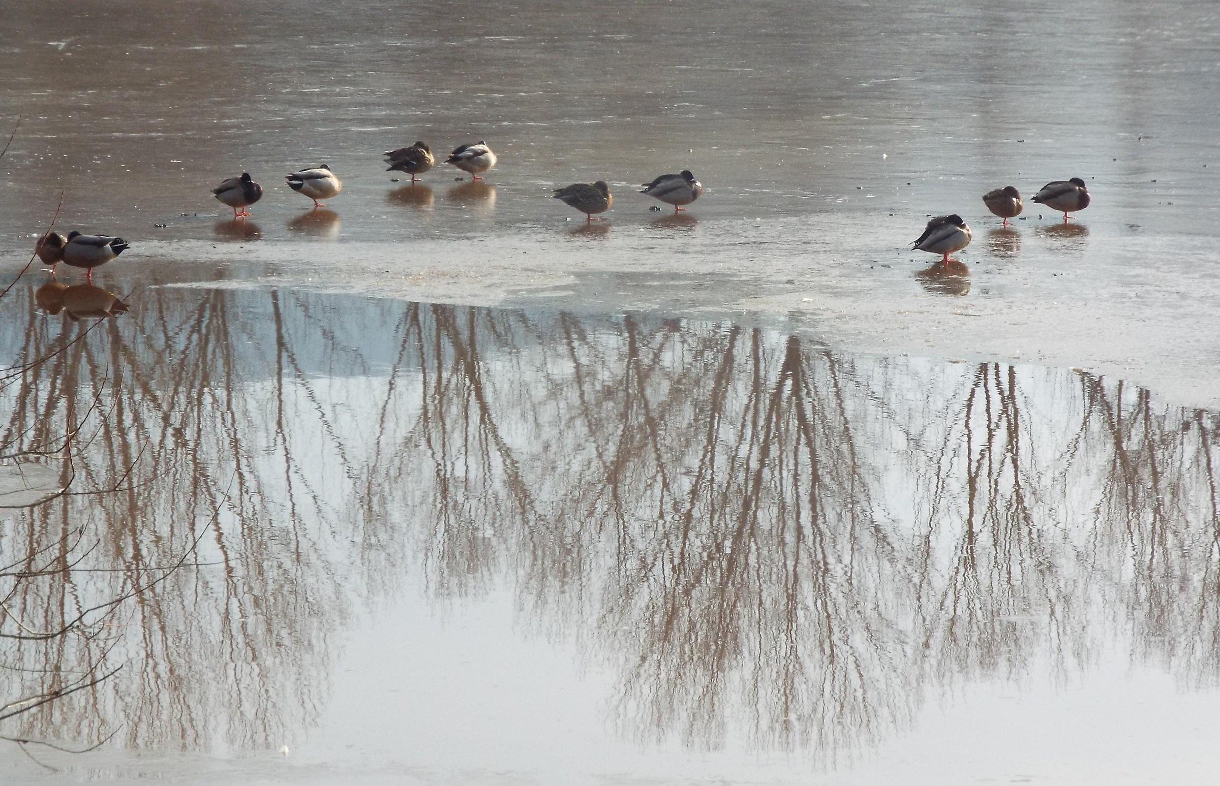 Suspended on the depth of a world turned upside down
