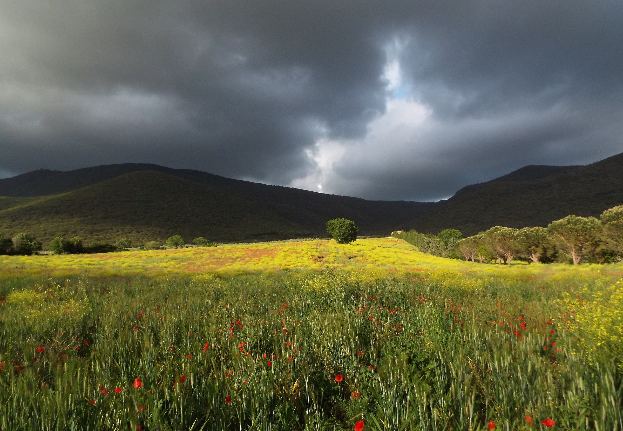 Only in heaven with tears and meadows of smiles