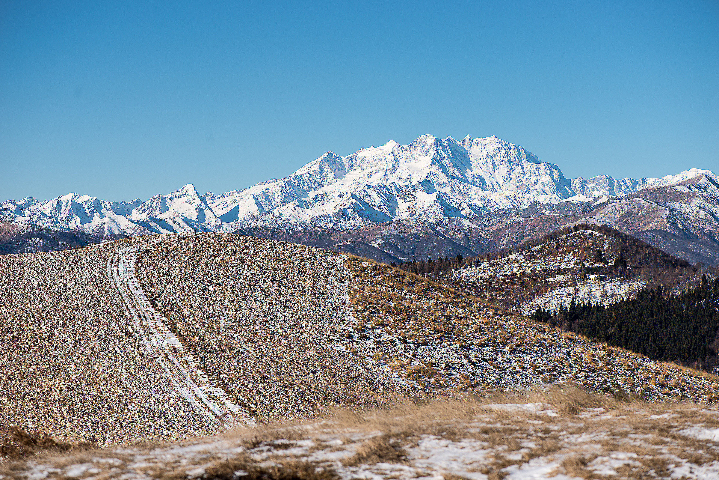 pink from the mountain bonfire '