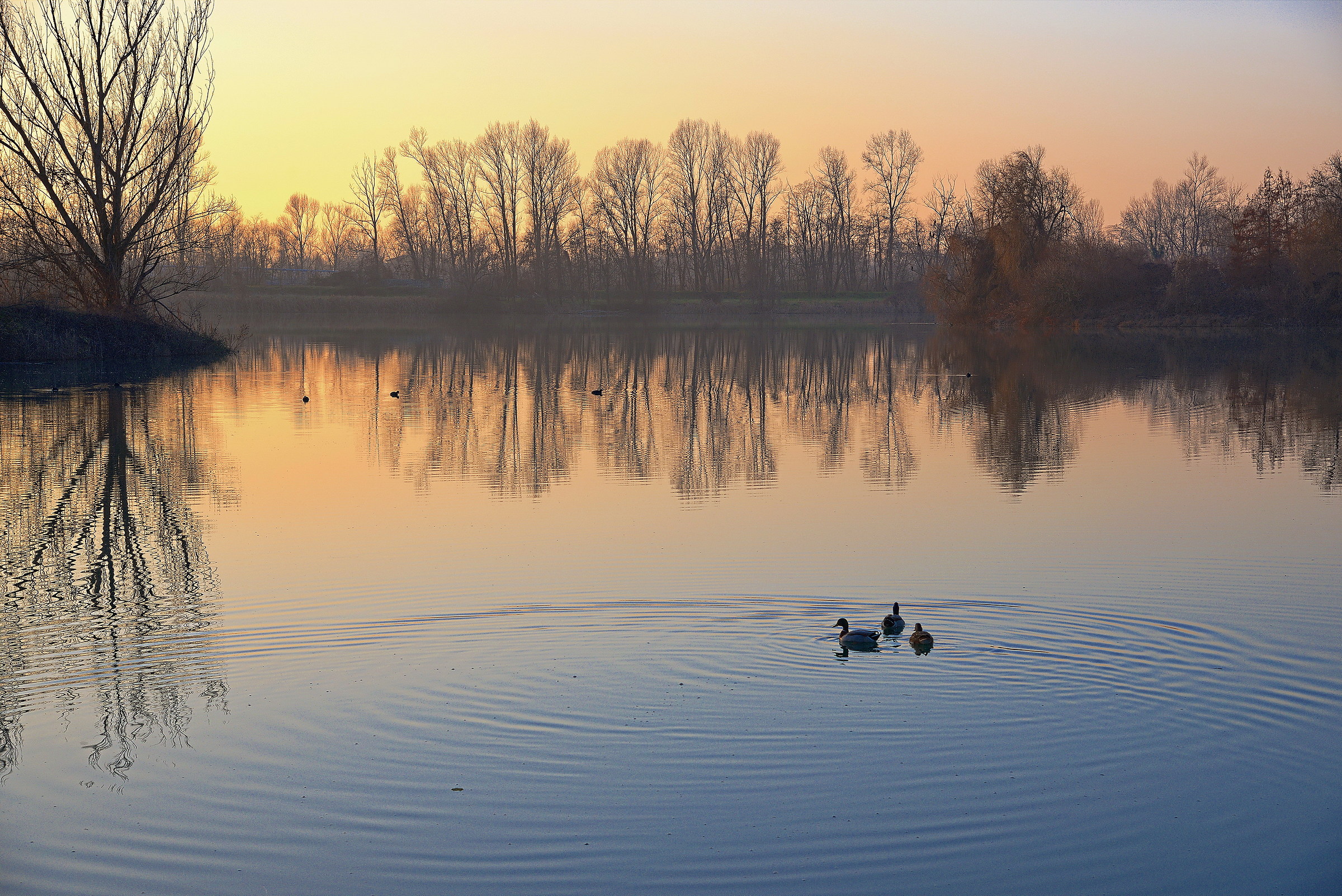 December 31, until sunset