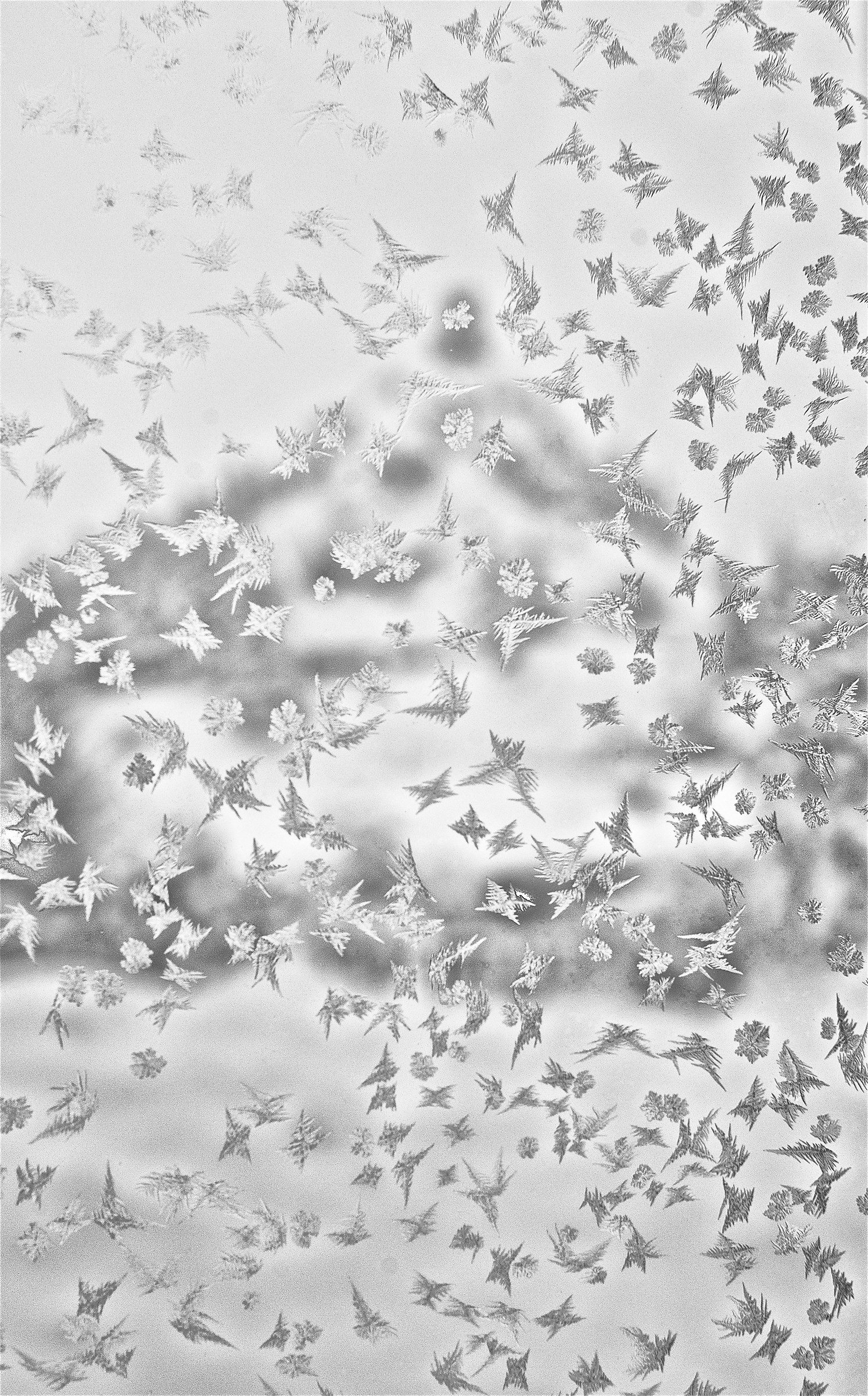 Campiglia d'Orcia - Via della Pineta