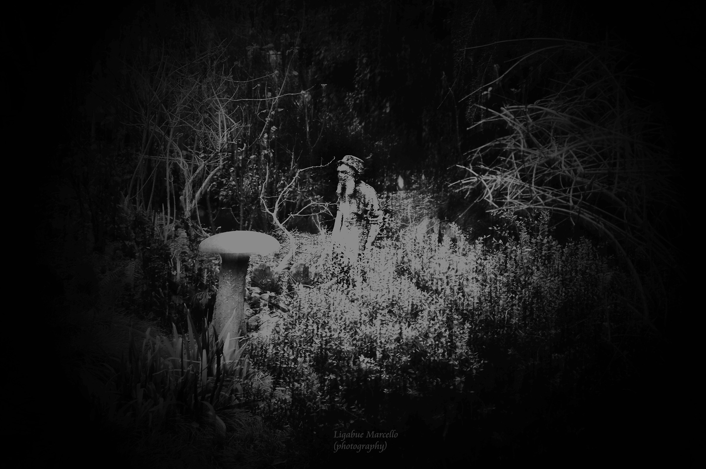 ... We do a tour in the woods?