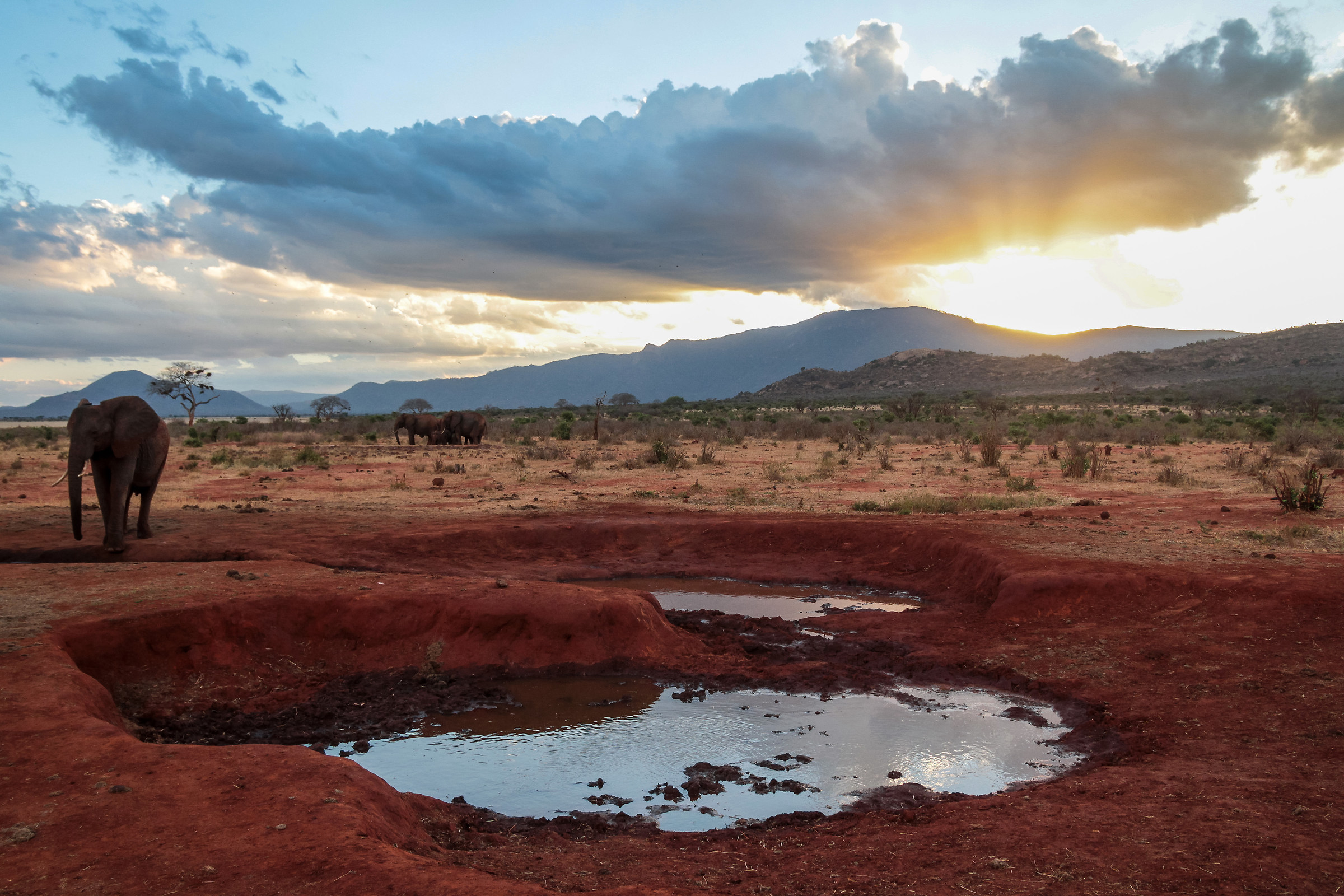 Sunset on the Savanna
