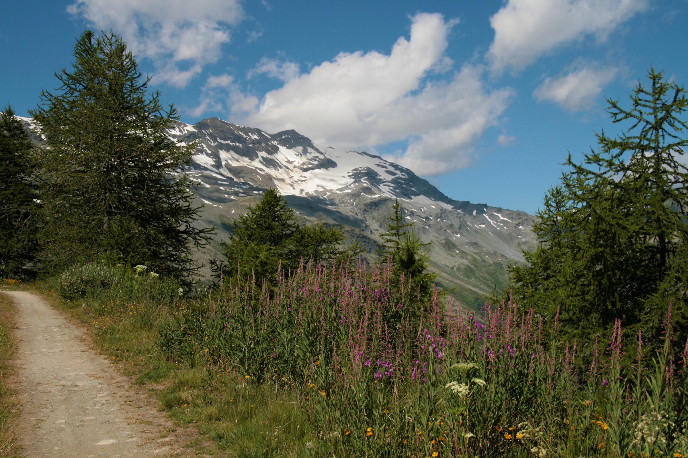 Chalet de l'Epée - Valgrisenche