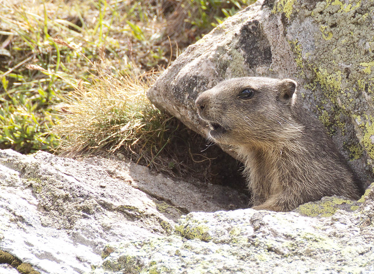 aspetta che mi do un ritocchino