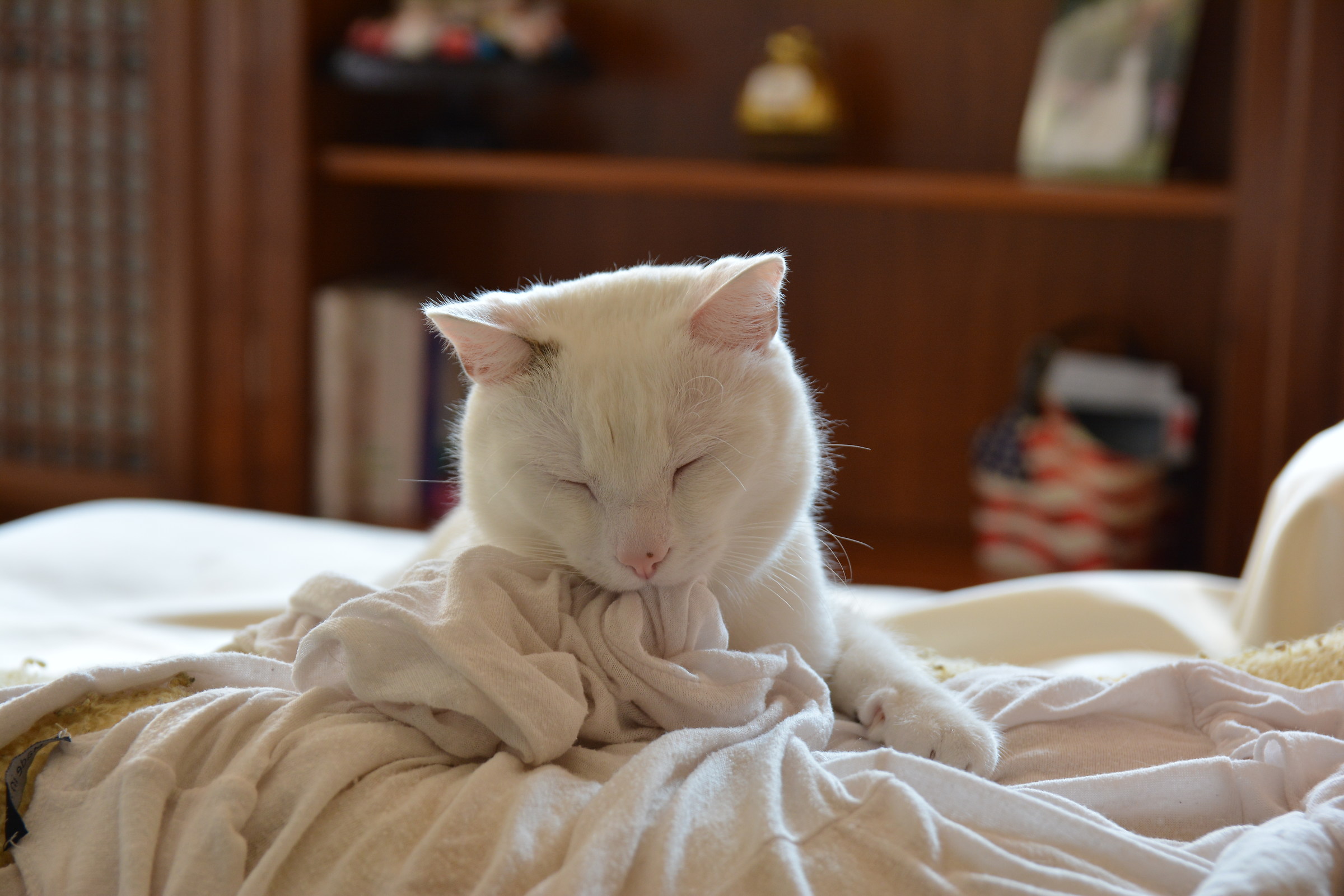 La mia coperta preferita