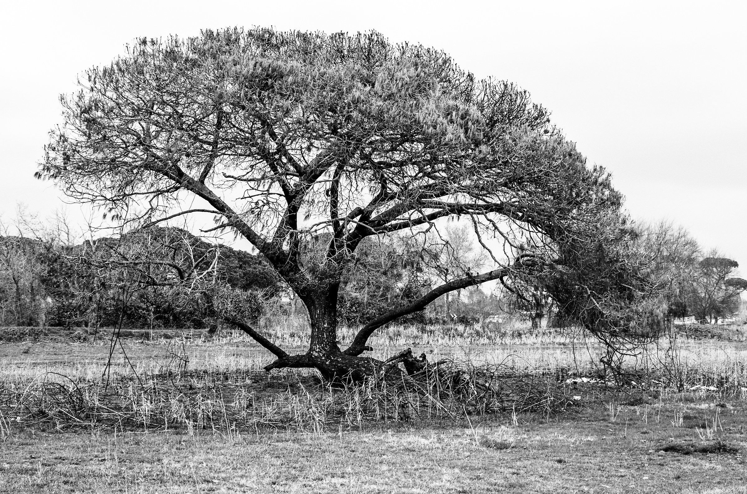 Lui continua a vivere