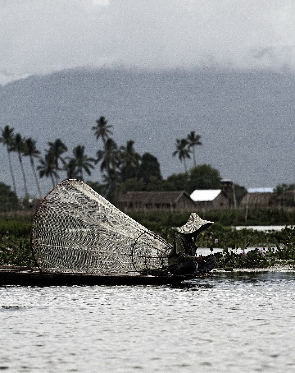 Inle Lake Fisherman I
