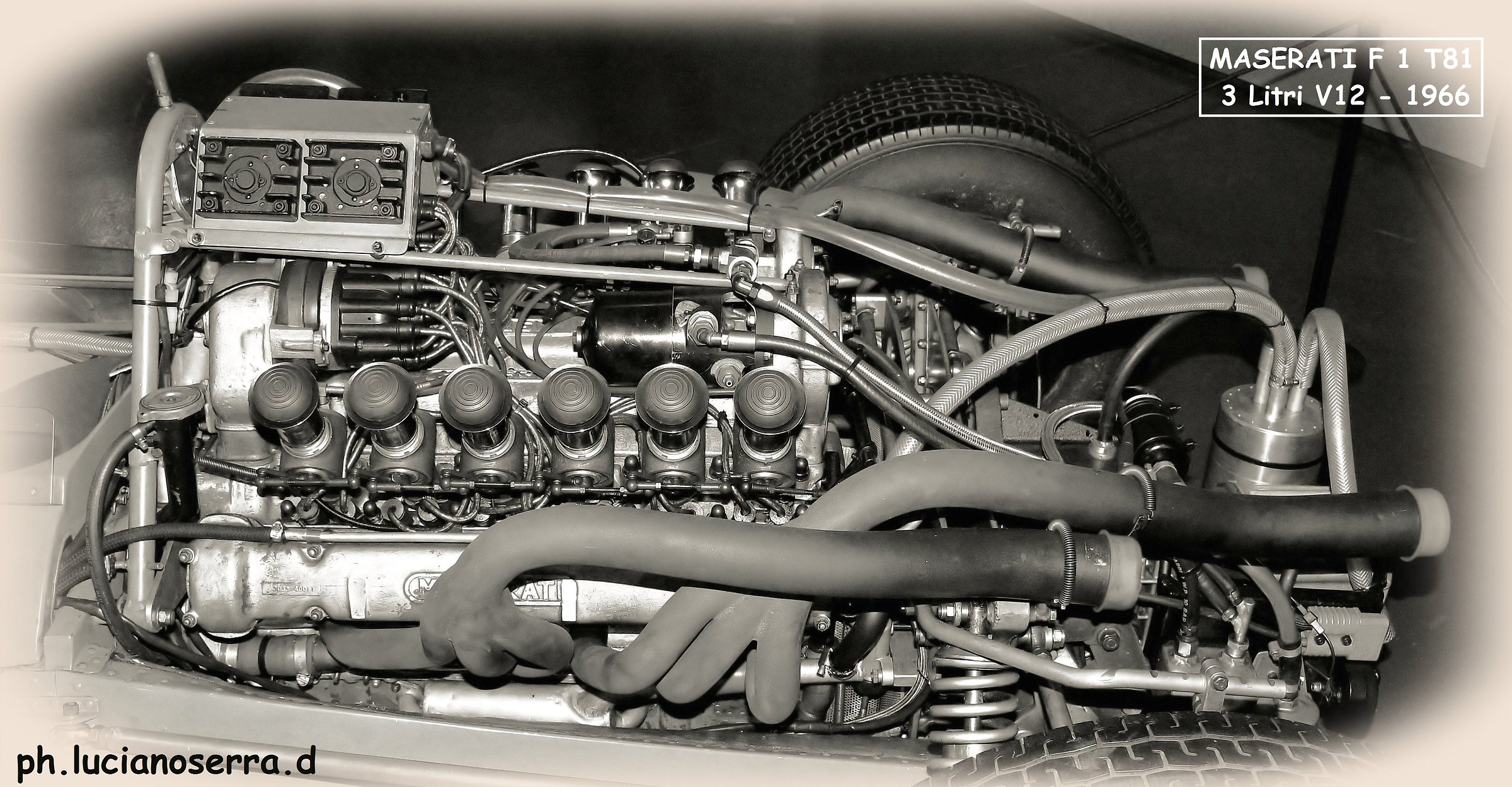 Motore Maserati F.1 T81 3 Litri V12 - 1966