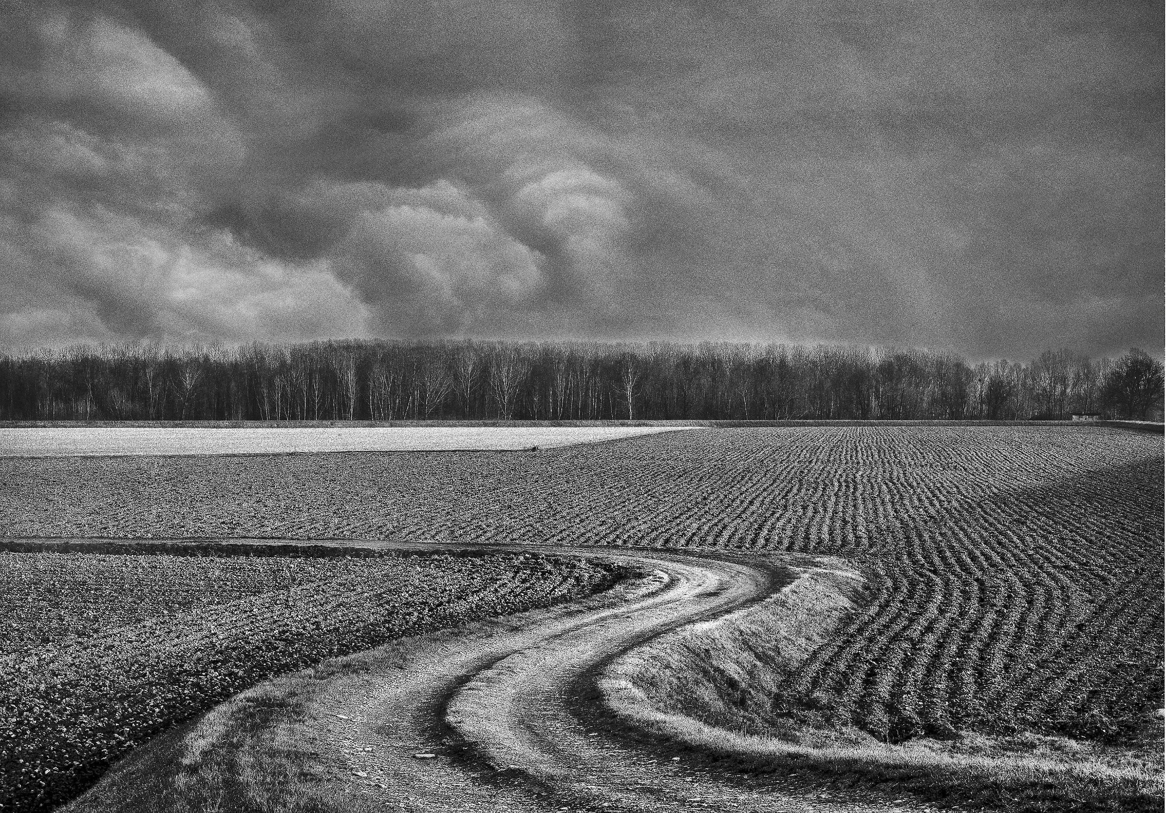 passeggiando la domenica sull'argine maestro del po