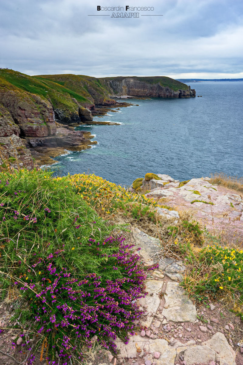 Cap Fréhel - Bretagne