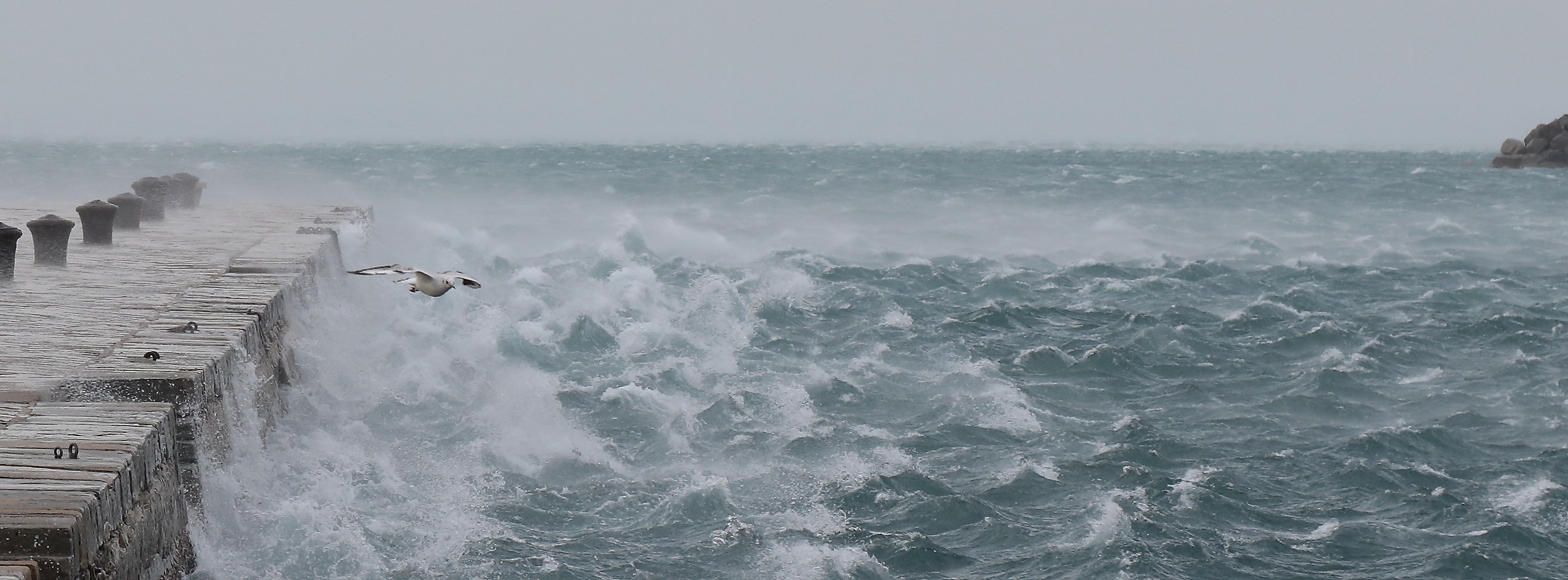 volare con la bora a trieste