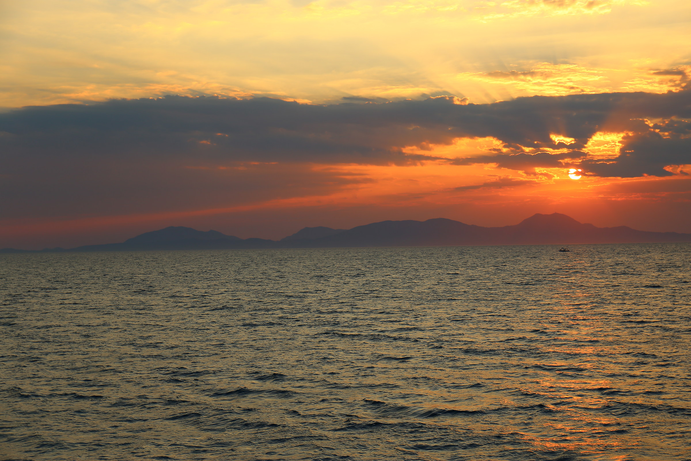 Memories of another summer