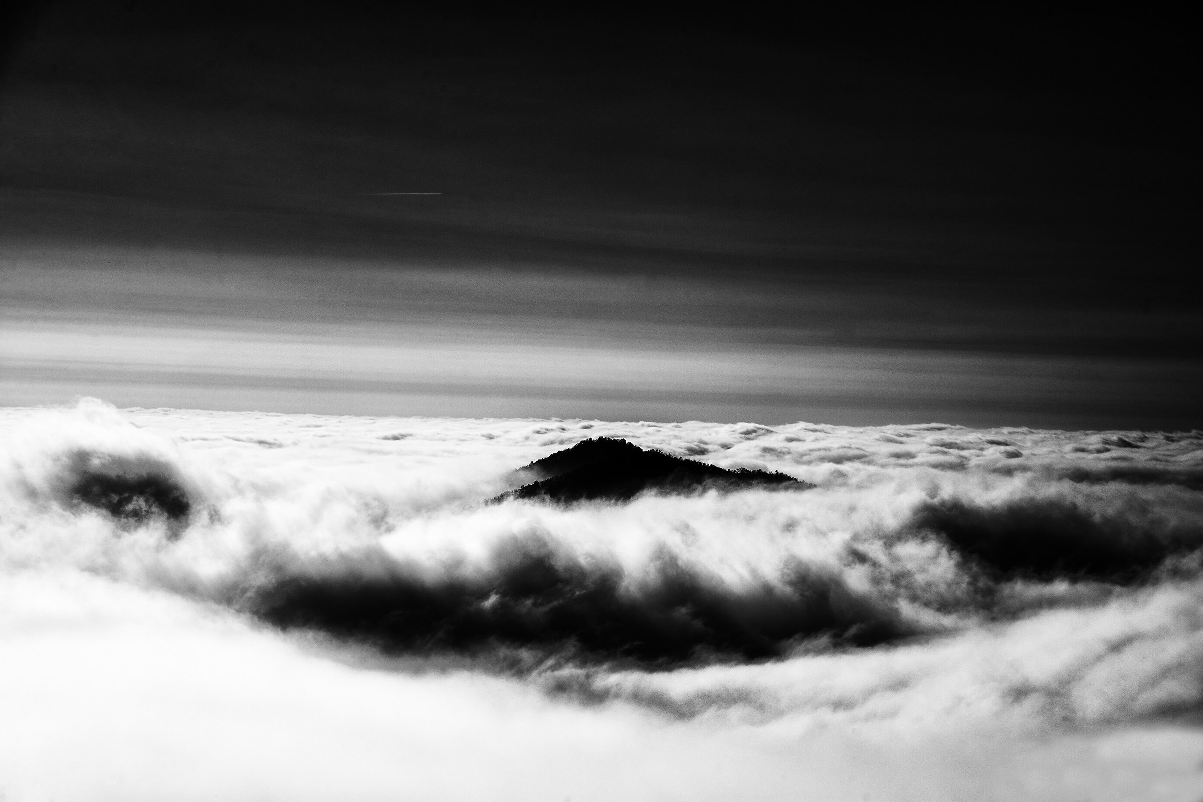 fog on the Euganean Hills