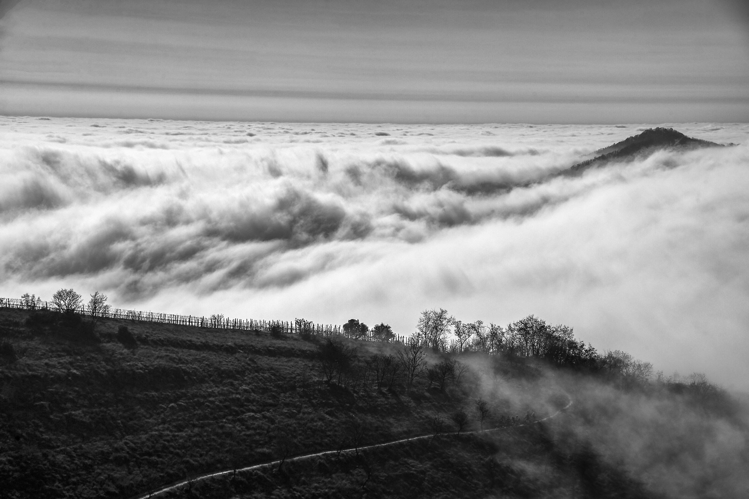 the fog to steep hills ..........