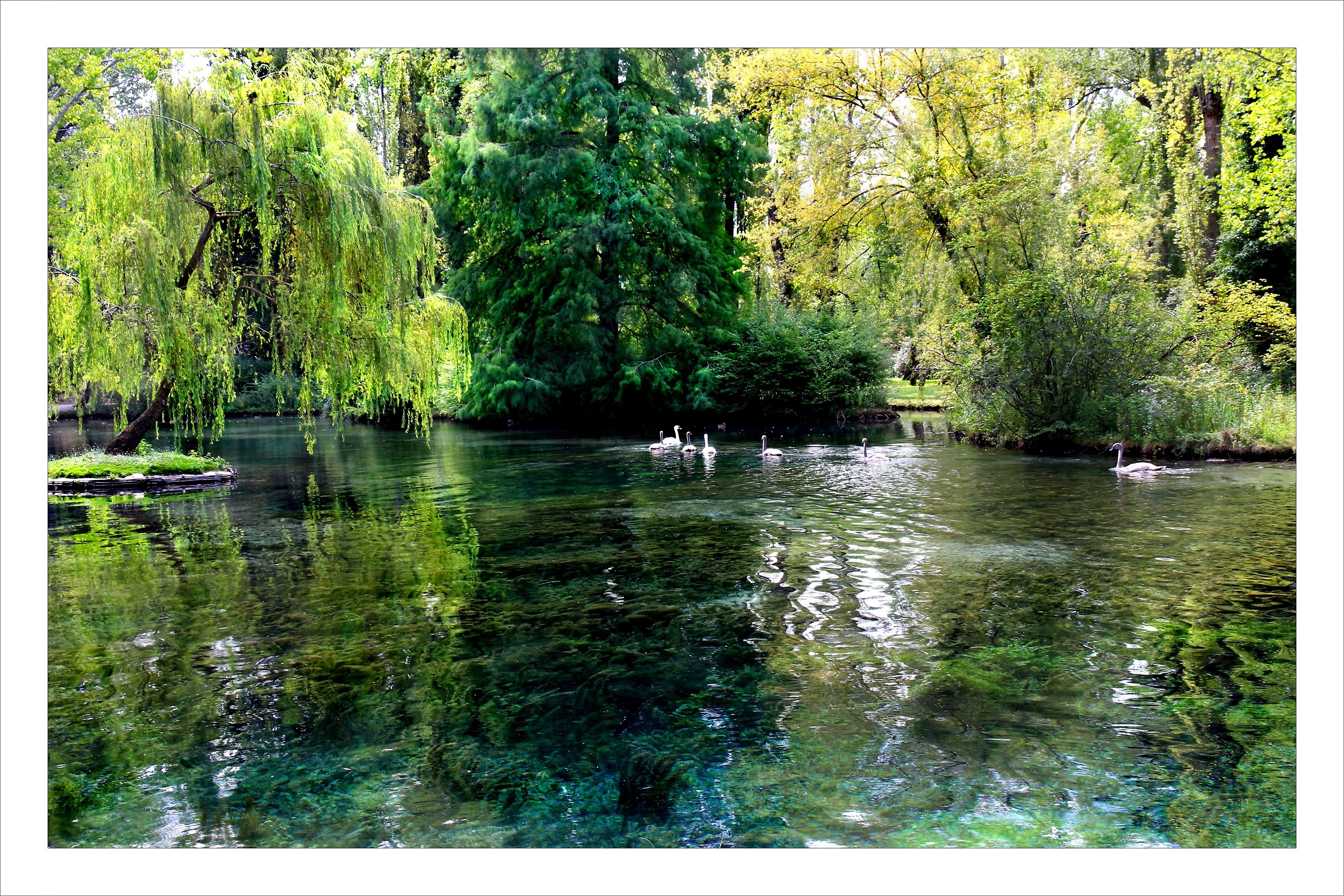 the Clitunno_1 sources