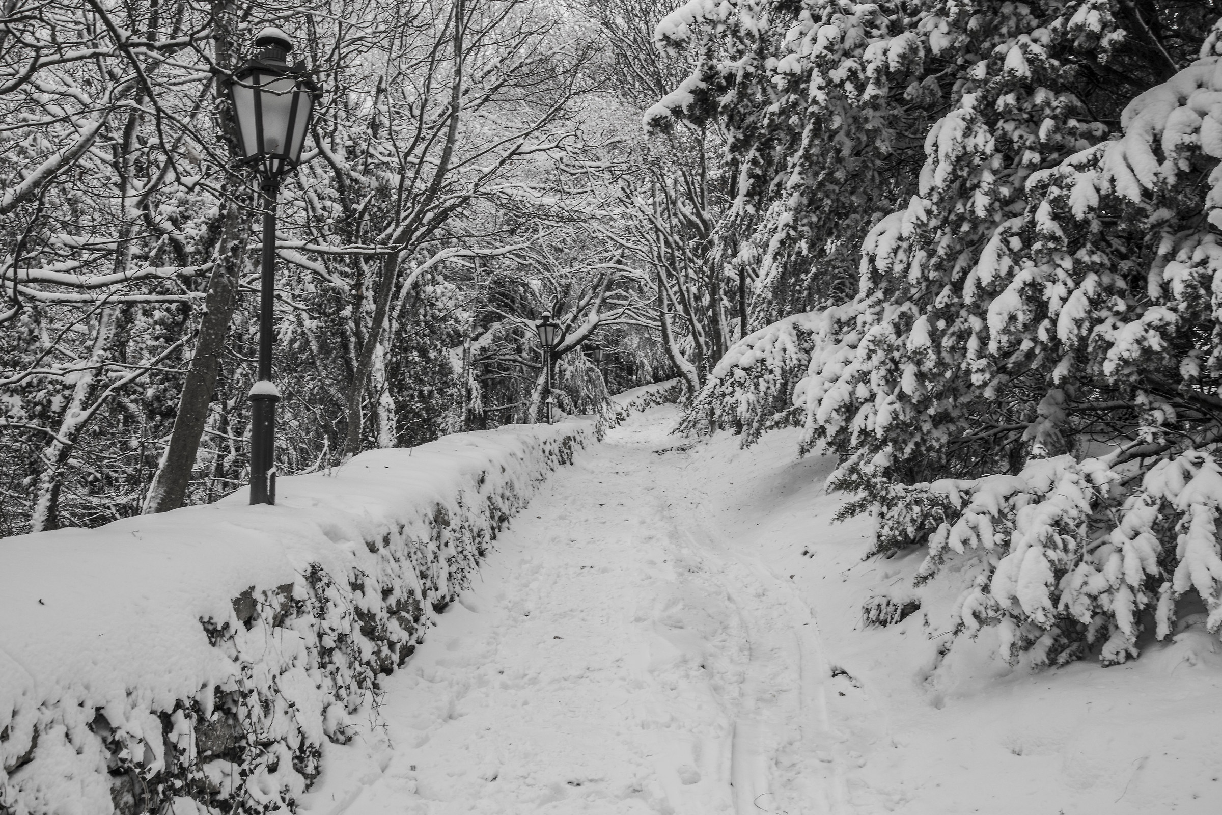 Proceeding towards the tower. . .