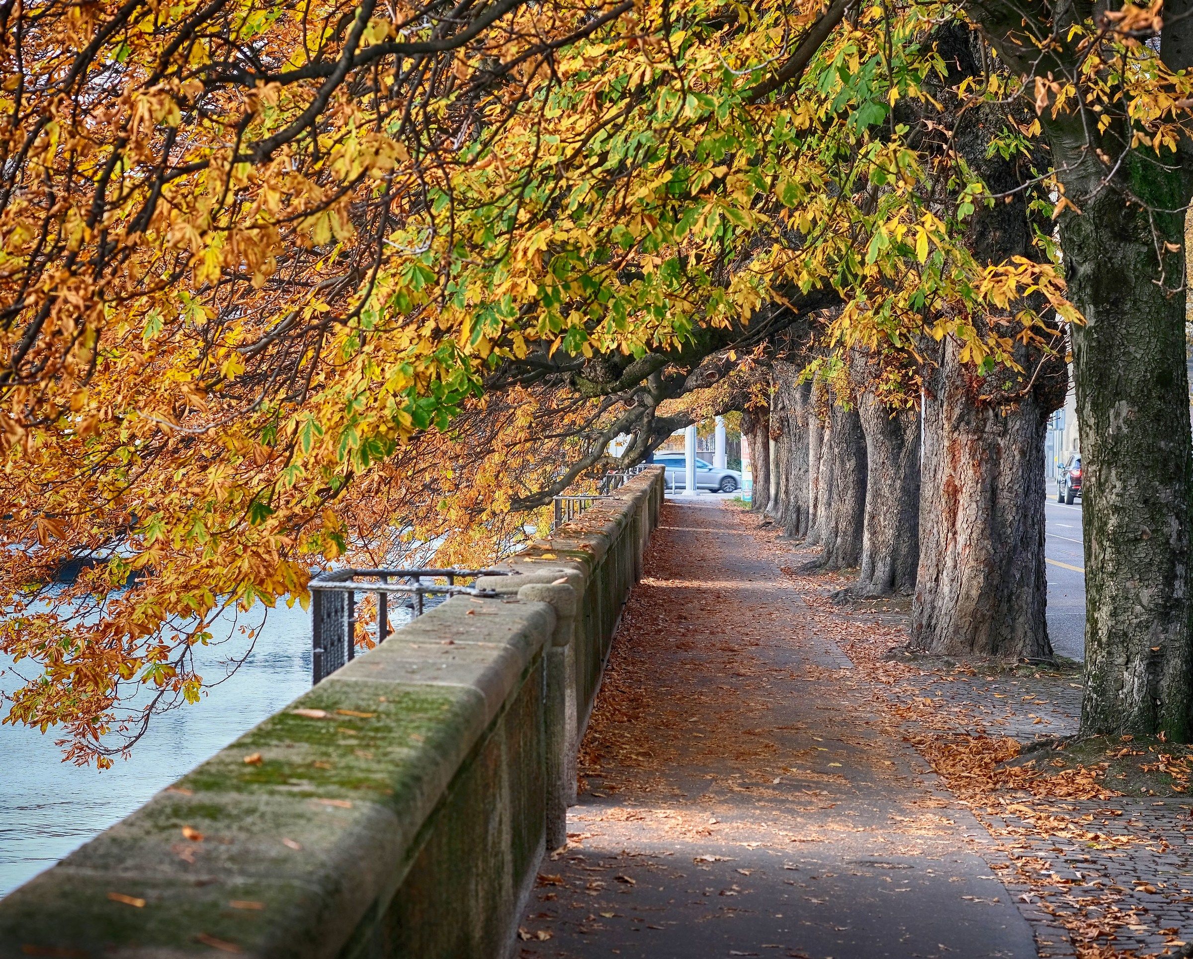 Autunno in Zurich