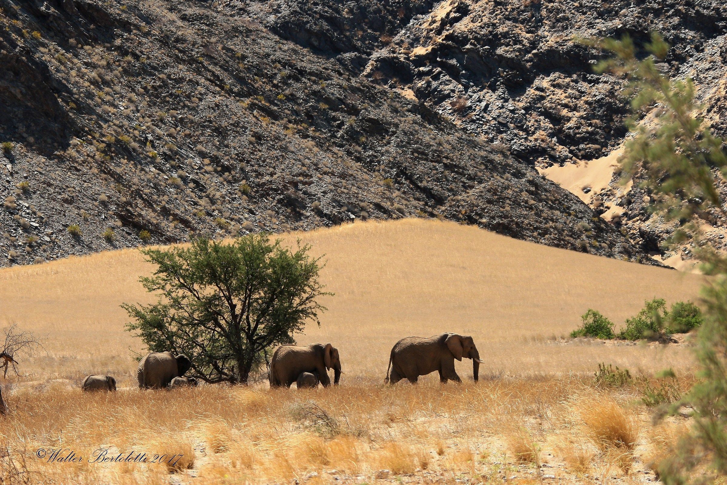 This is the damaraland