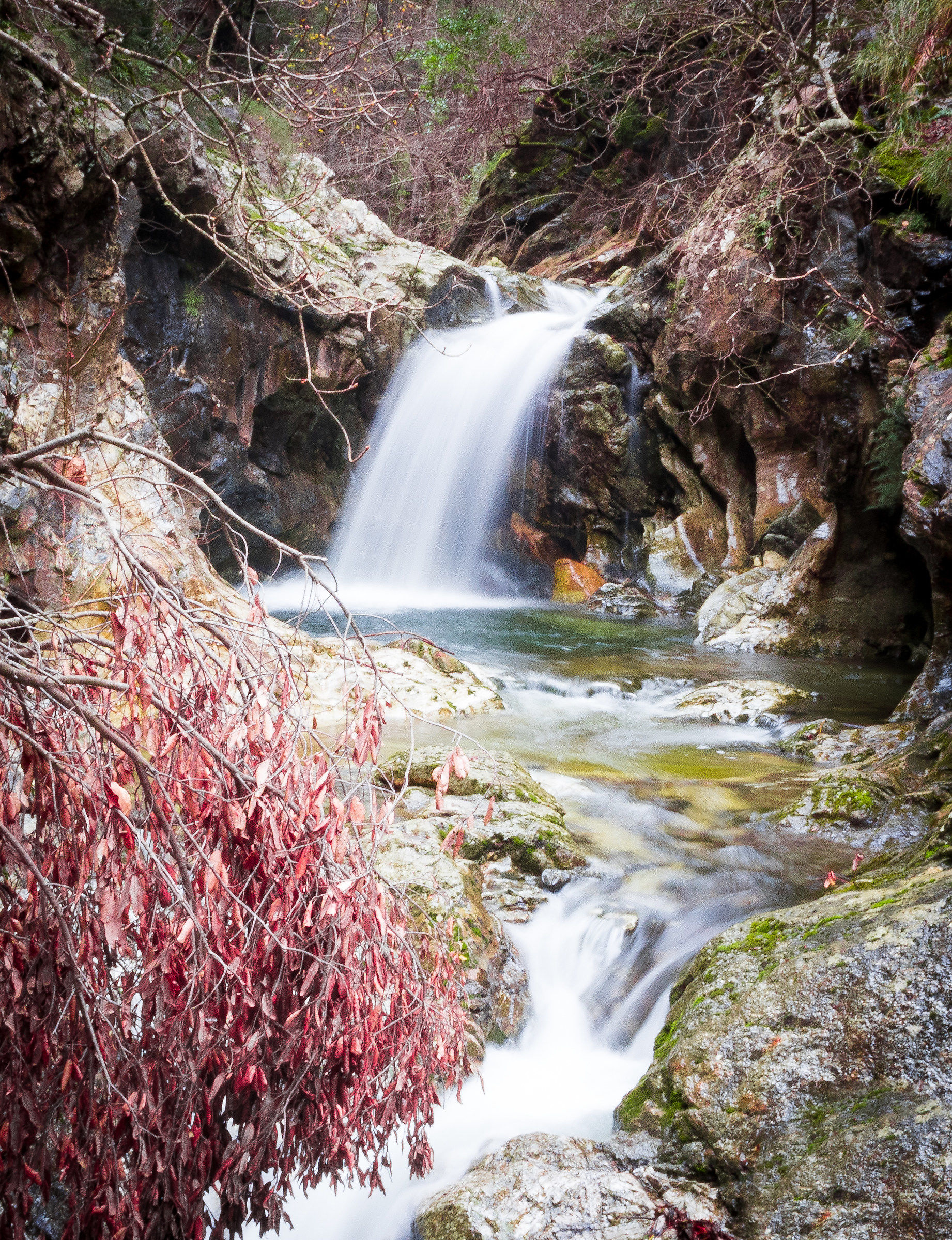 La Grotta Rosa di Magisano (Calabria)
