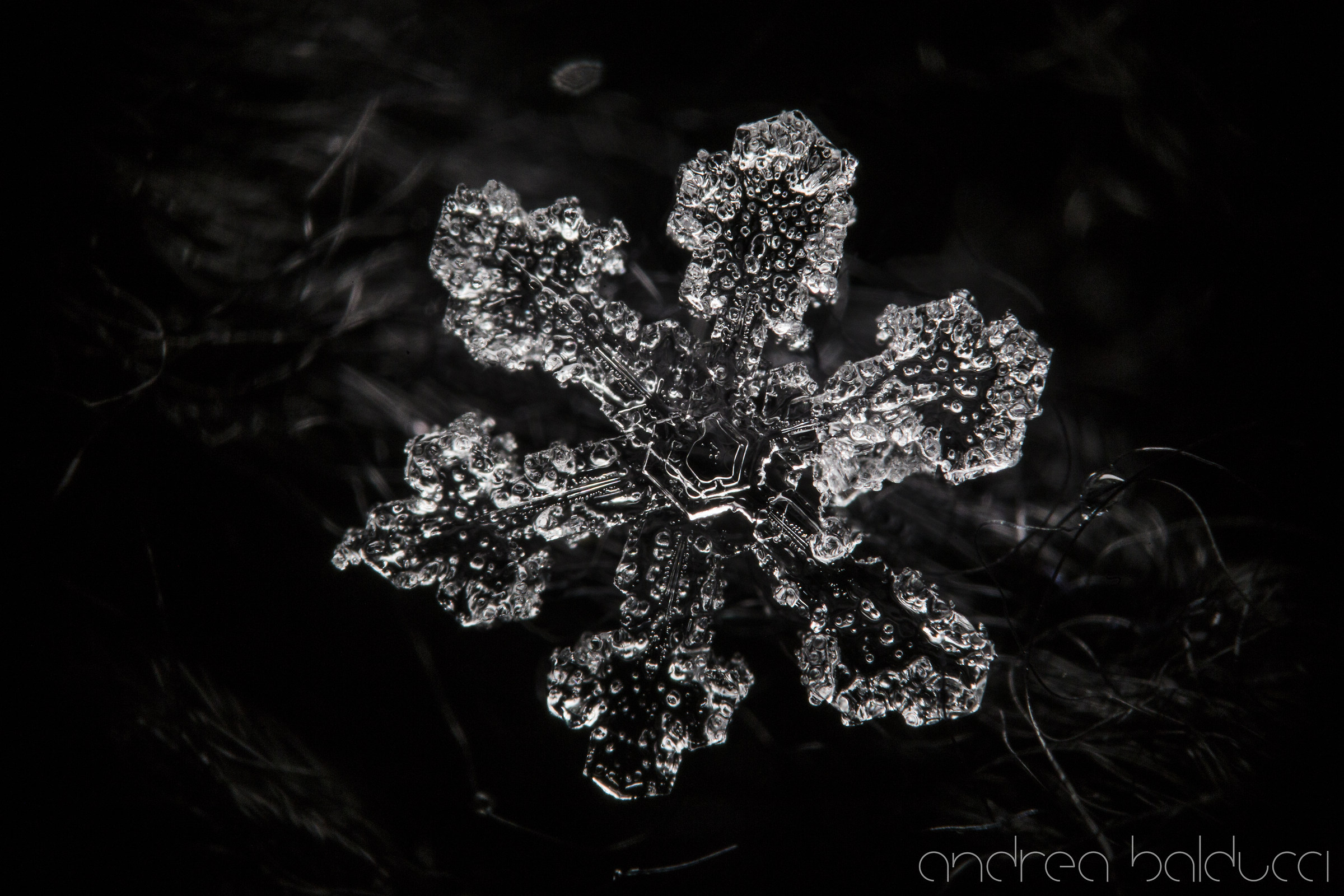 Cristallo di ghiaccio