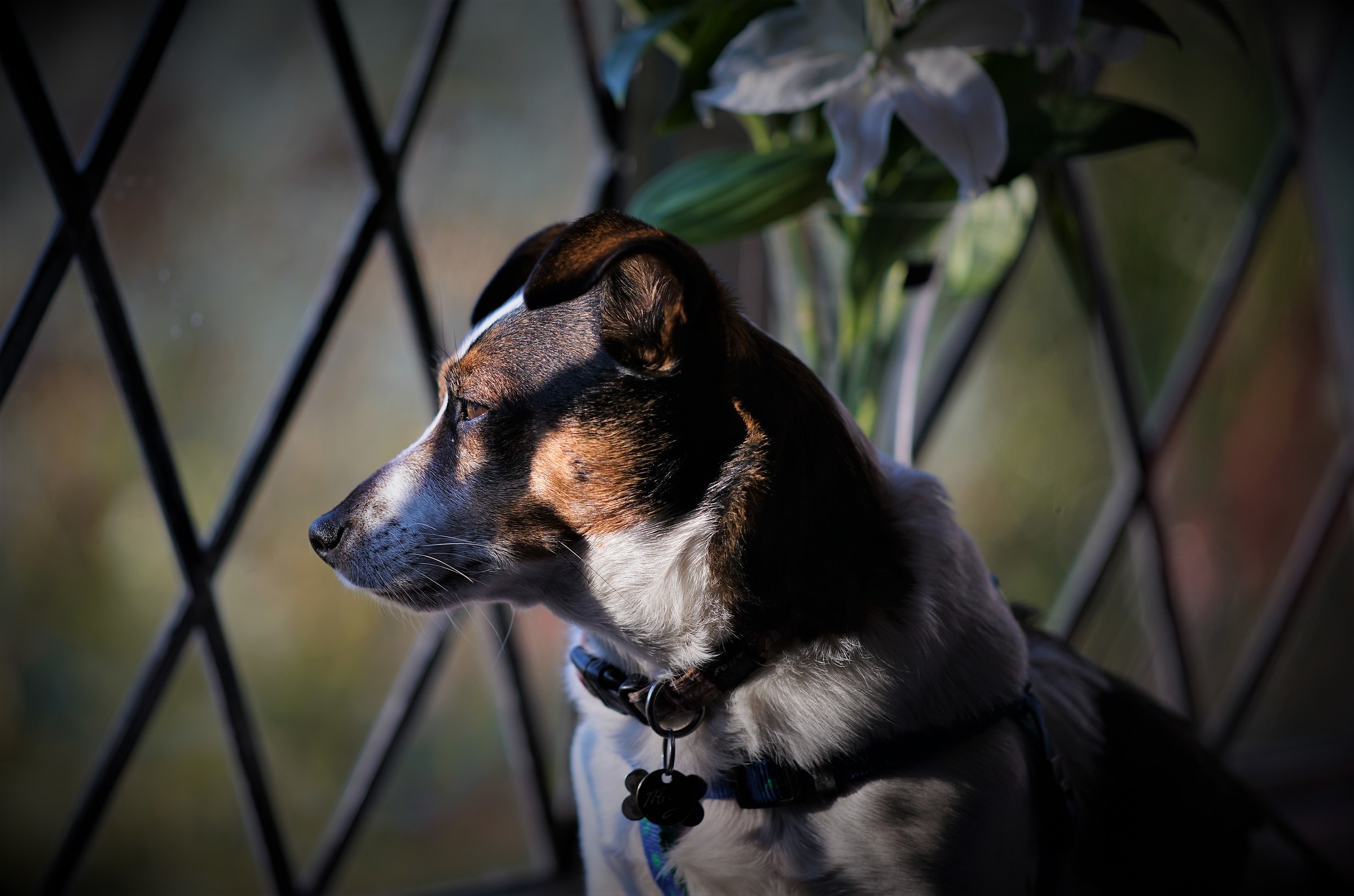 Quando stanno venendo a casa