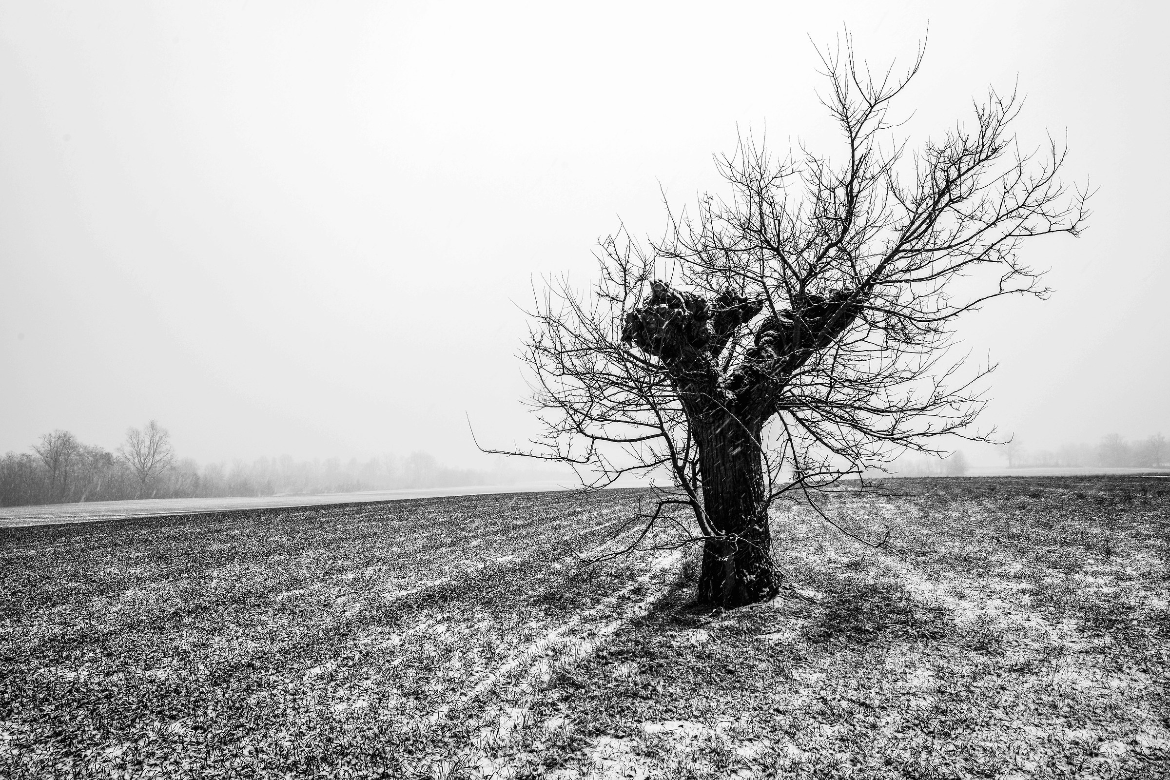 Nel cuore dell'inverno