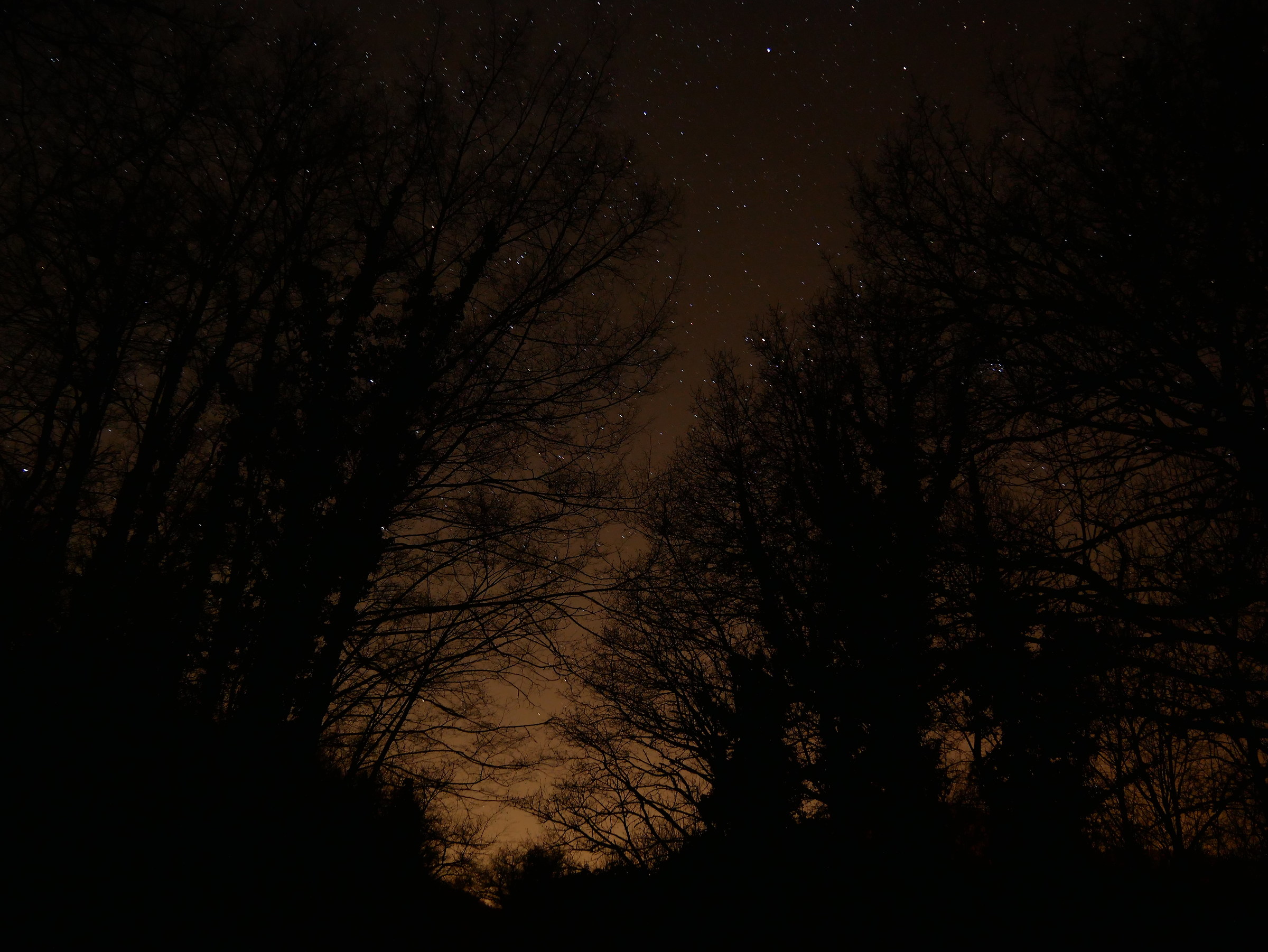 Second shot to the stars