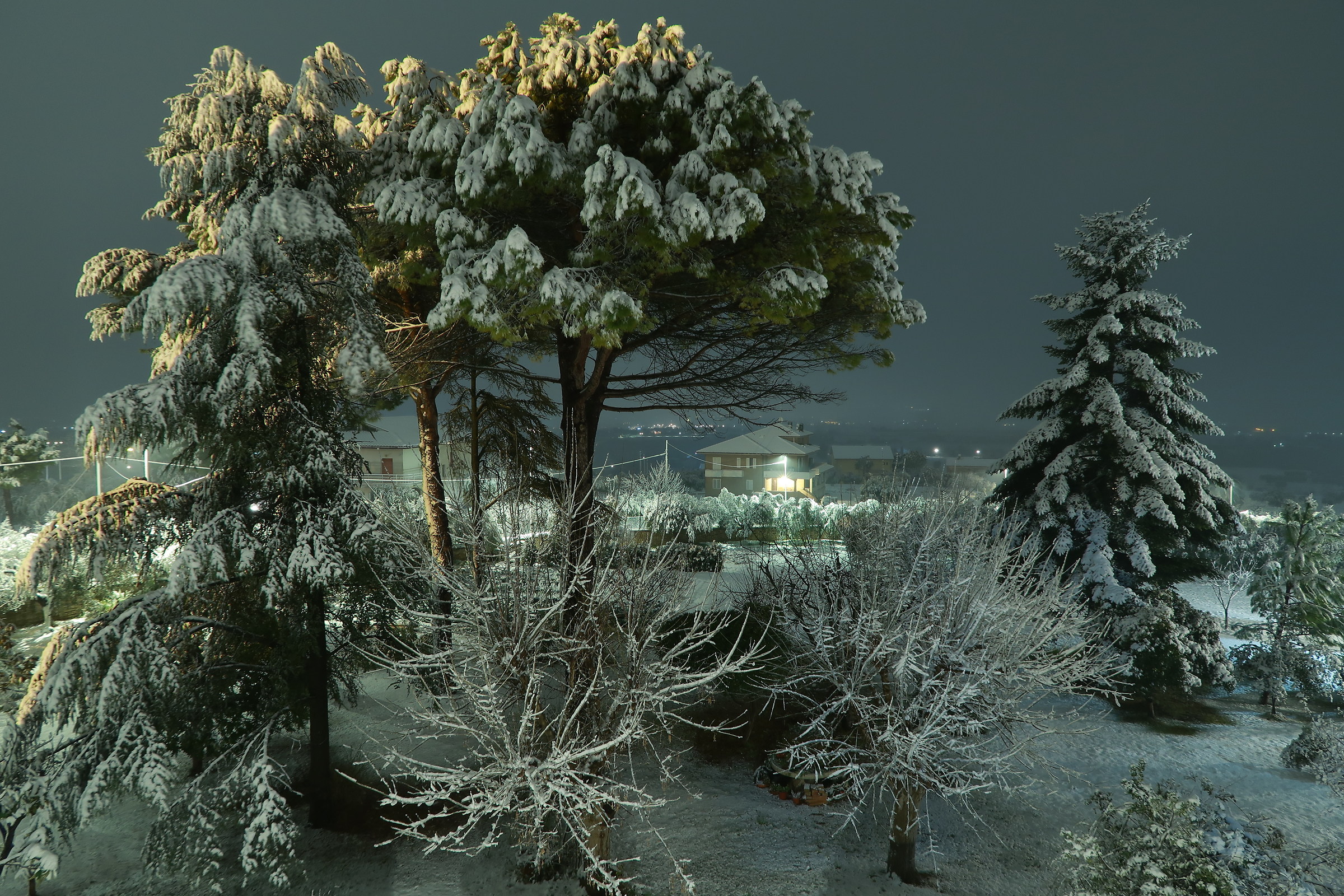 notturno con neve