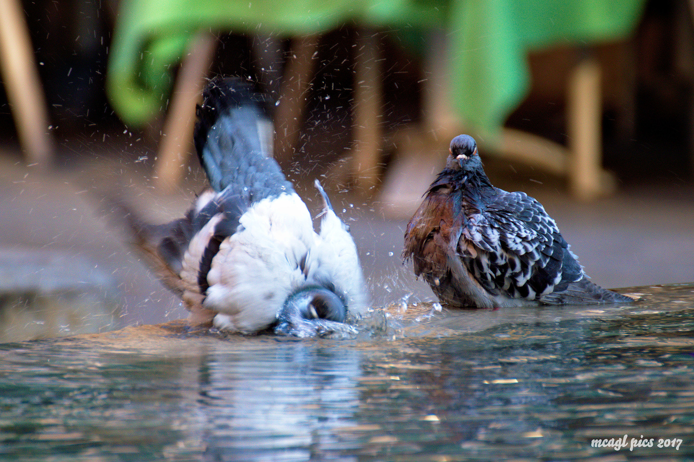 morning routine: laviamoci face!