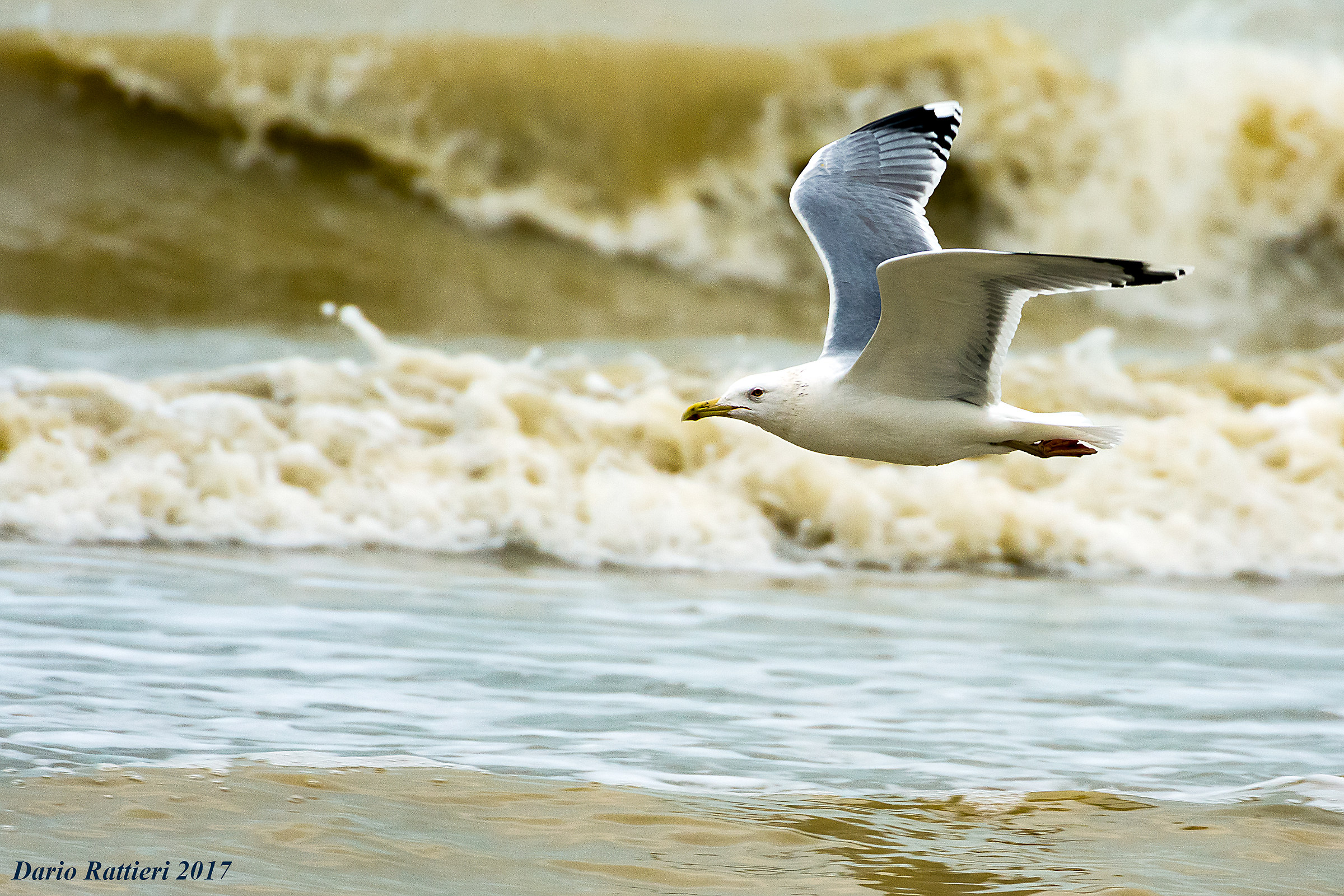 Abruzzo - Sad winter 2017