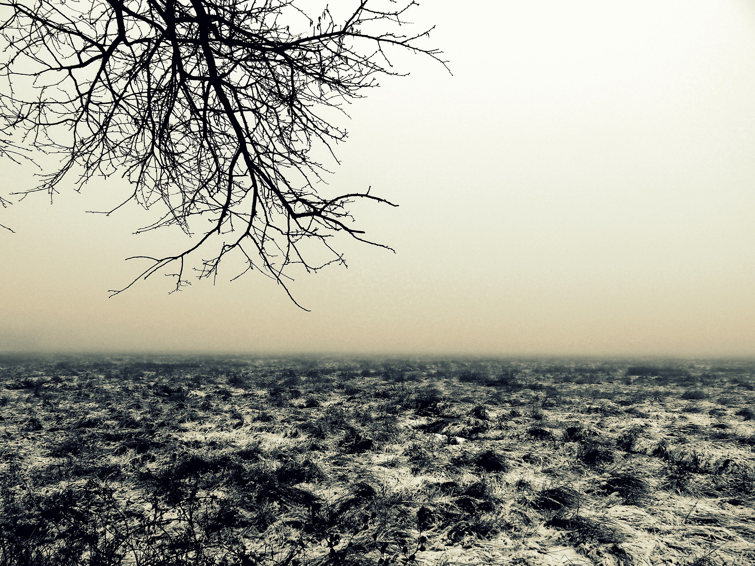 Laguna a Campalto (ve)