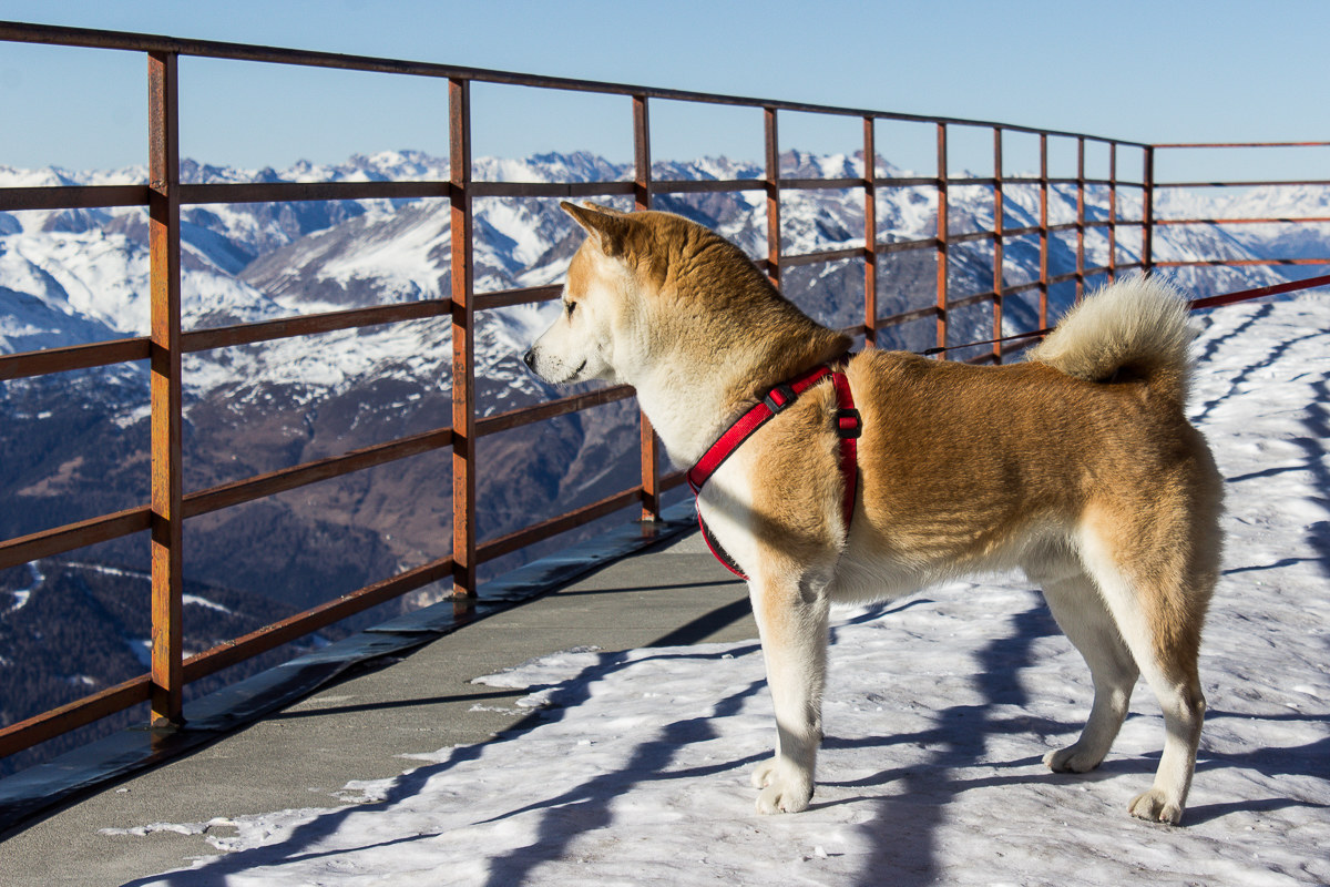He also admires the view !!