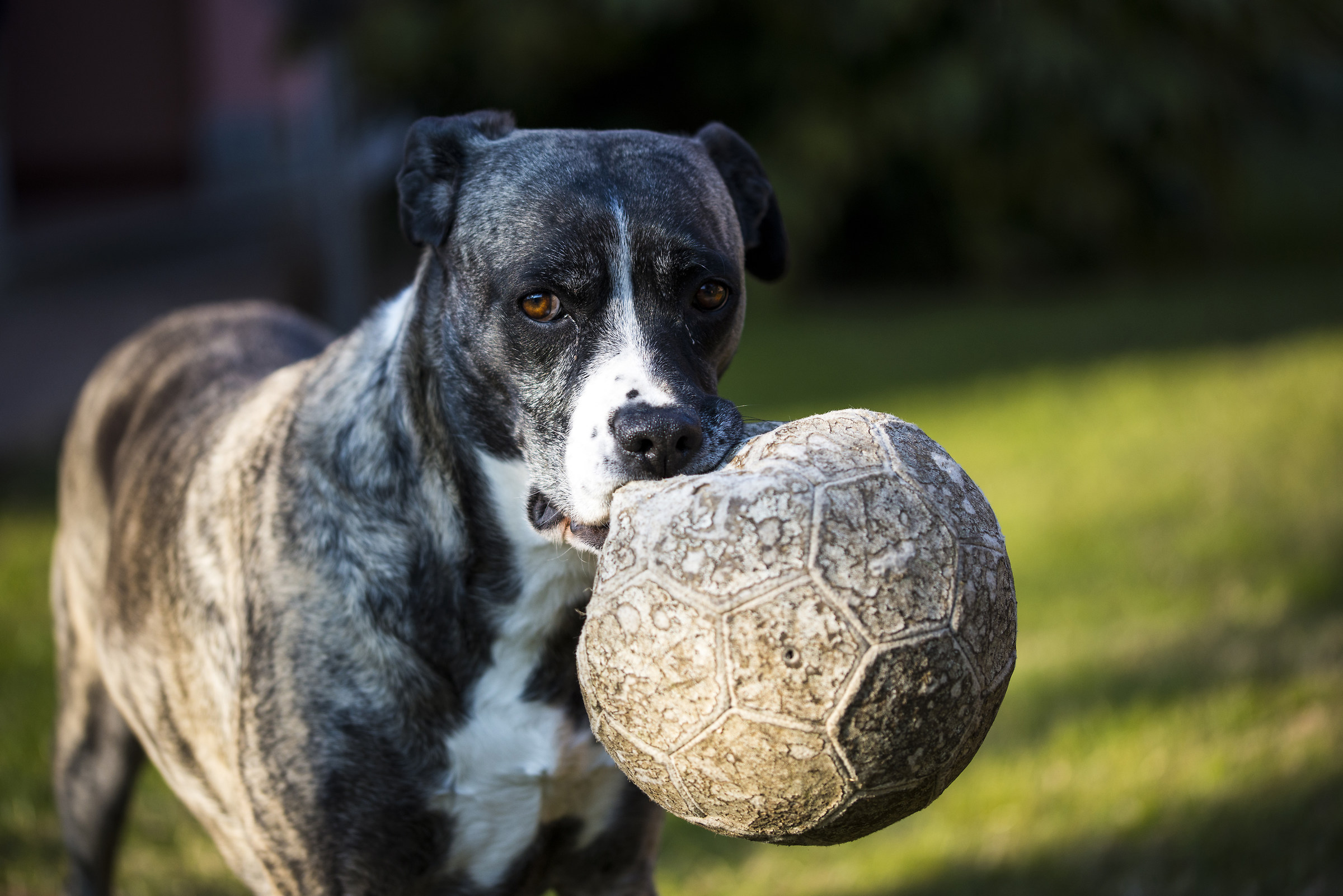 Yuna with his "friend" XD ball