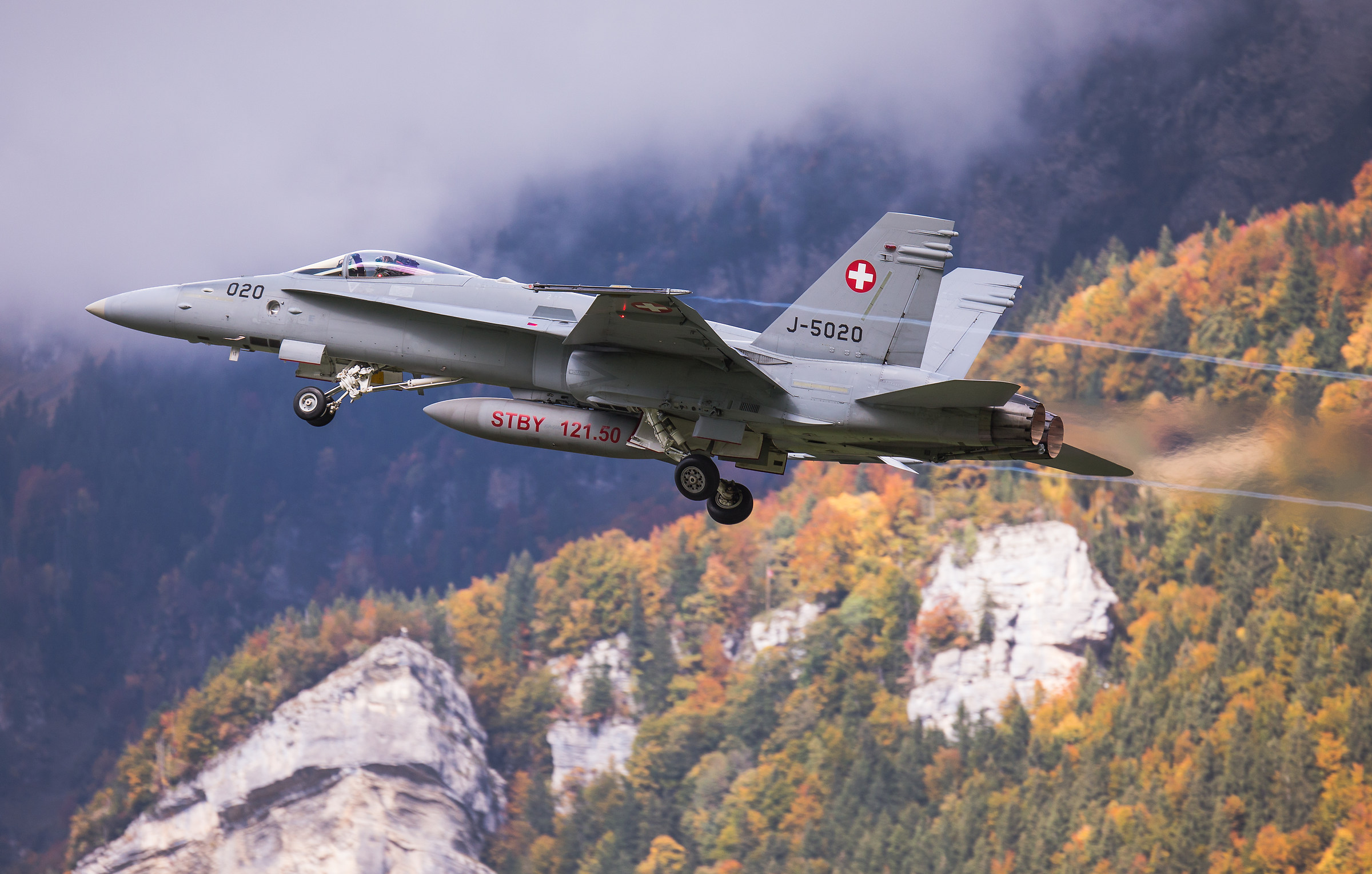 swiss hornet