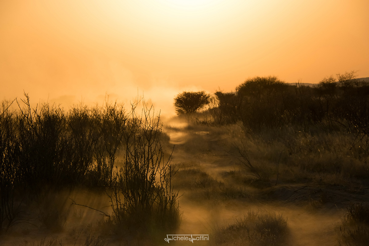 Namibia - Sunset of fire